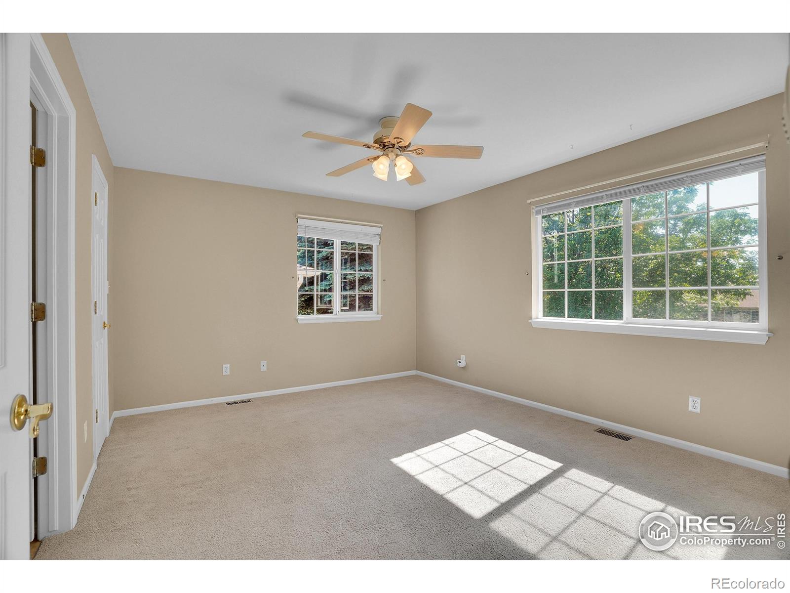 MLS Image #10 for 2156  collyer street,longmont, Colorado