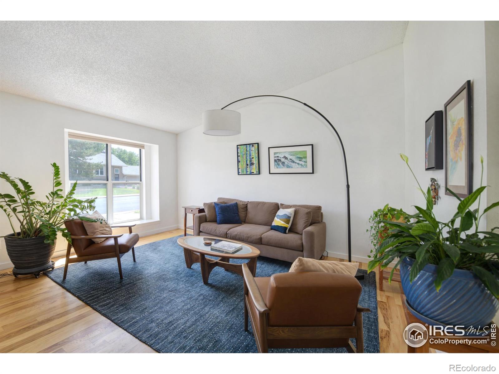 MLS Image #2 for 137 s polk avenue,louisville, Colorado
