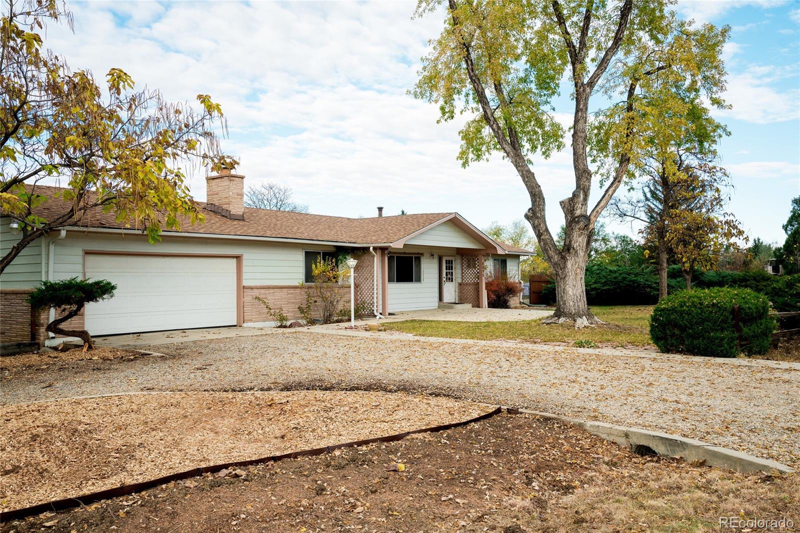 MLS Image #5 for 8895  morton road,niwot, Colorado