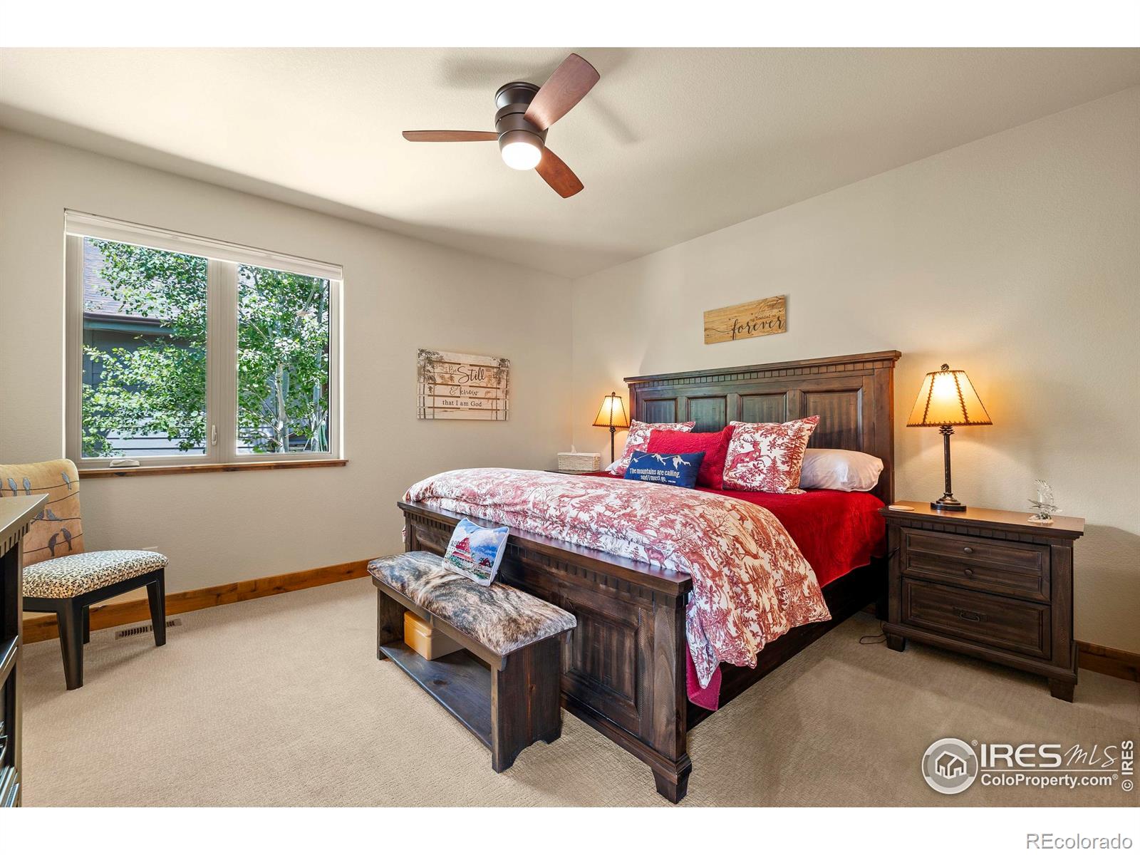 MLS Image #15 for 1137  fish creek road,estes park, Colorado