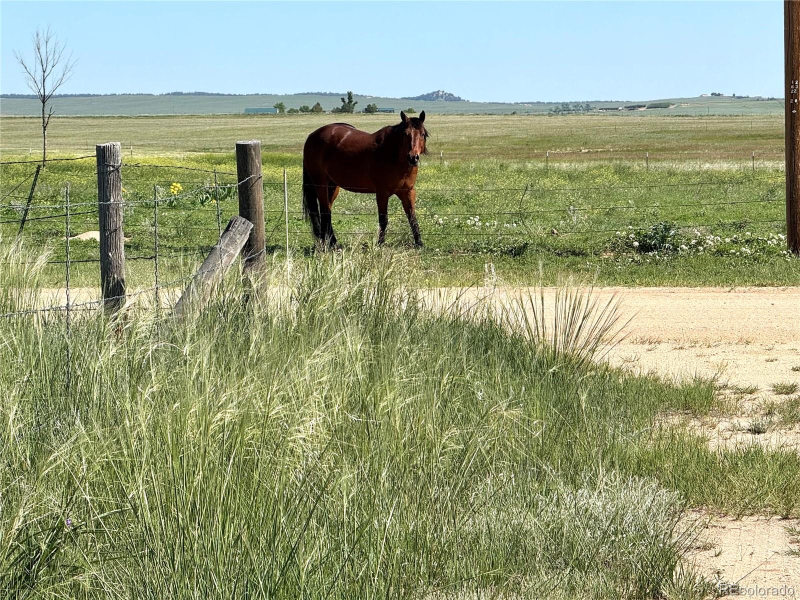 MLS Image #17 for 21457  spencer road,calhan, Colorado