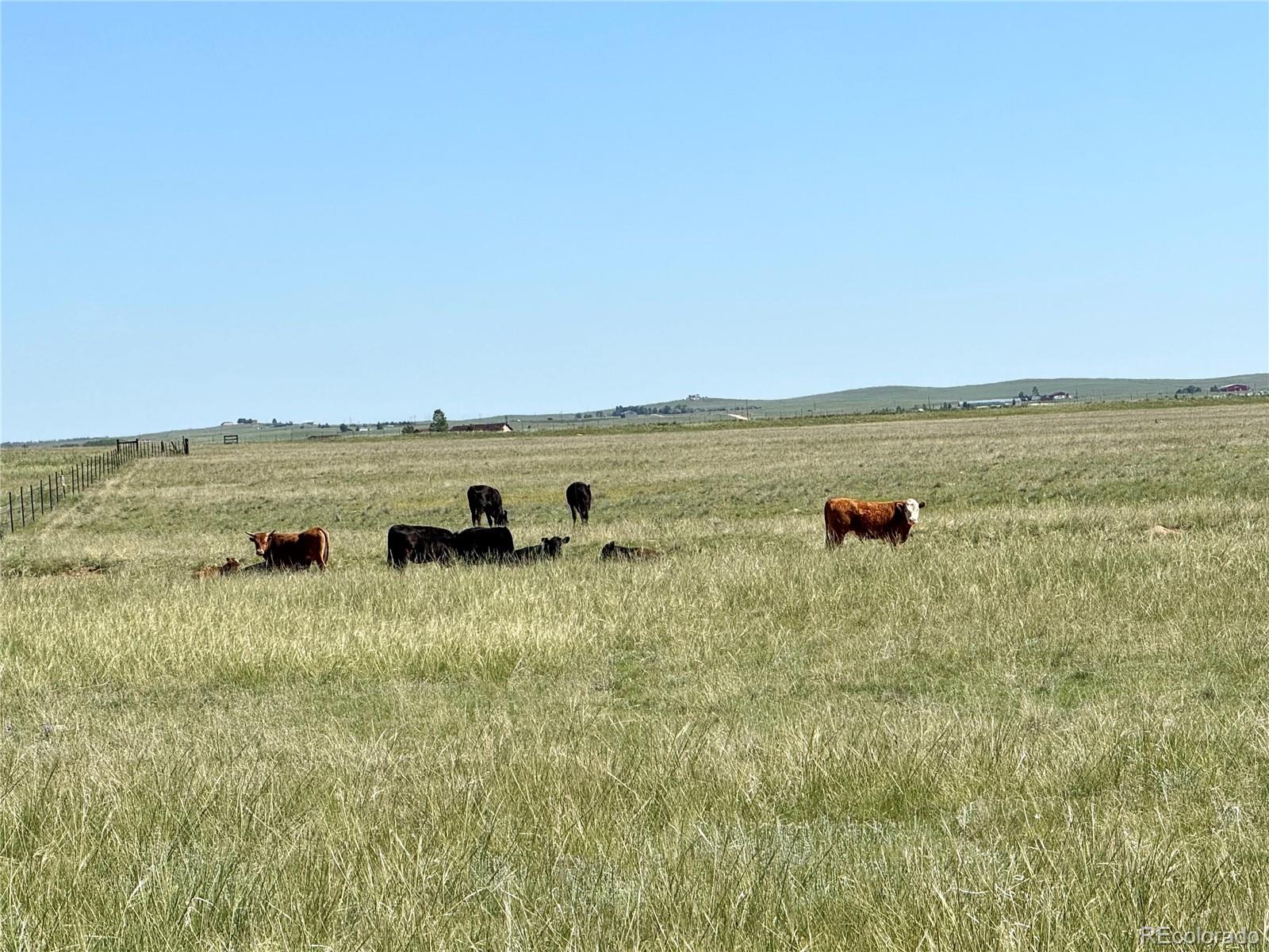 MLS Image #18 for 21457  spencer road,calhan, Colorado
