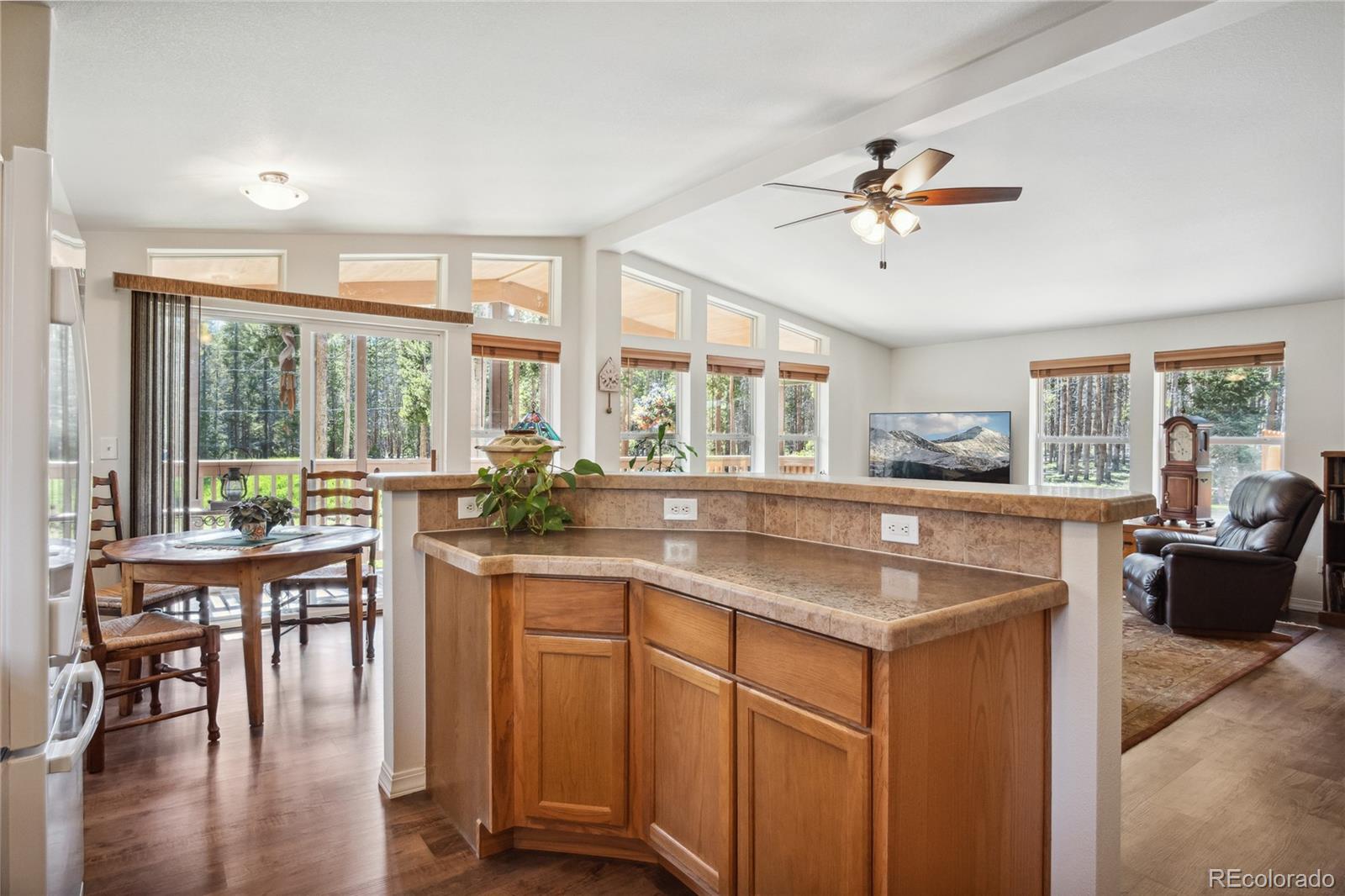 MLS Image #11 for 249  tabor drive,leadville, Colorado