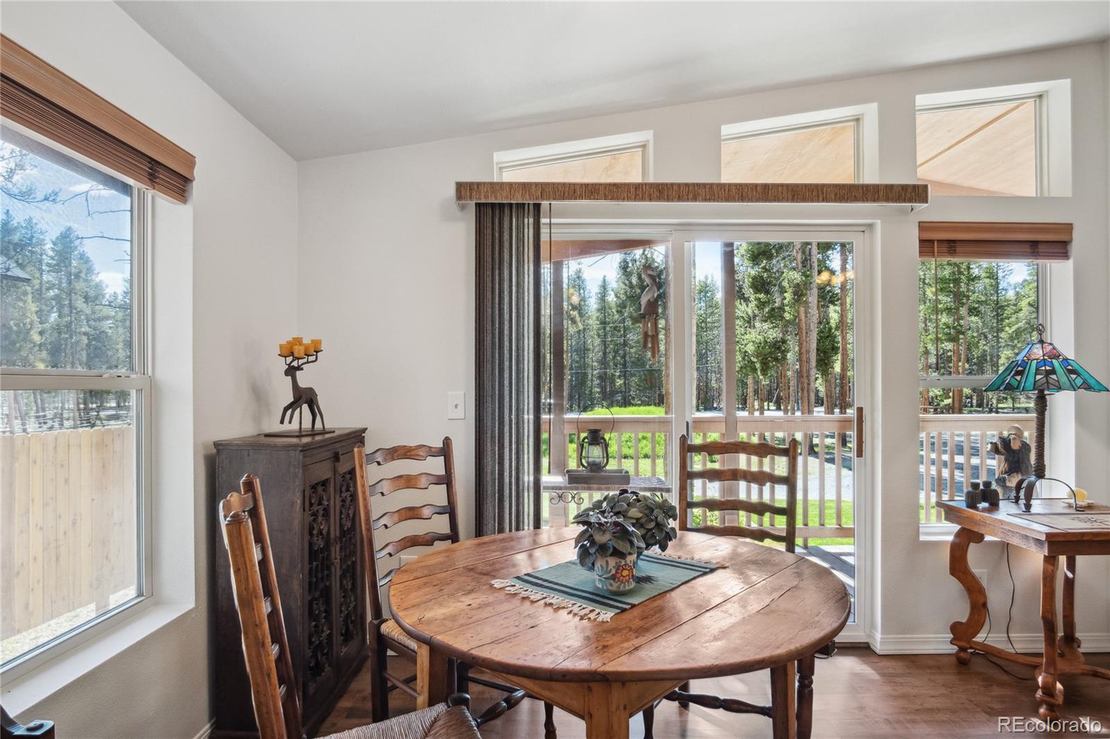 MLS Image #12 for 249  tabor drive,leadville, Colorado