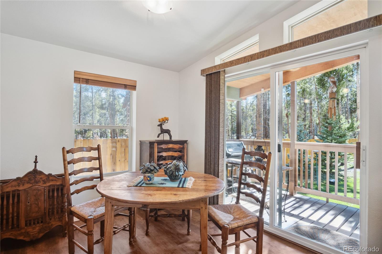 MLS Image #13 for 249  tabor drive,leadville, Colorado