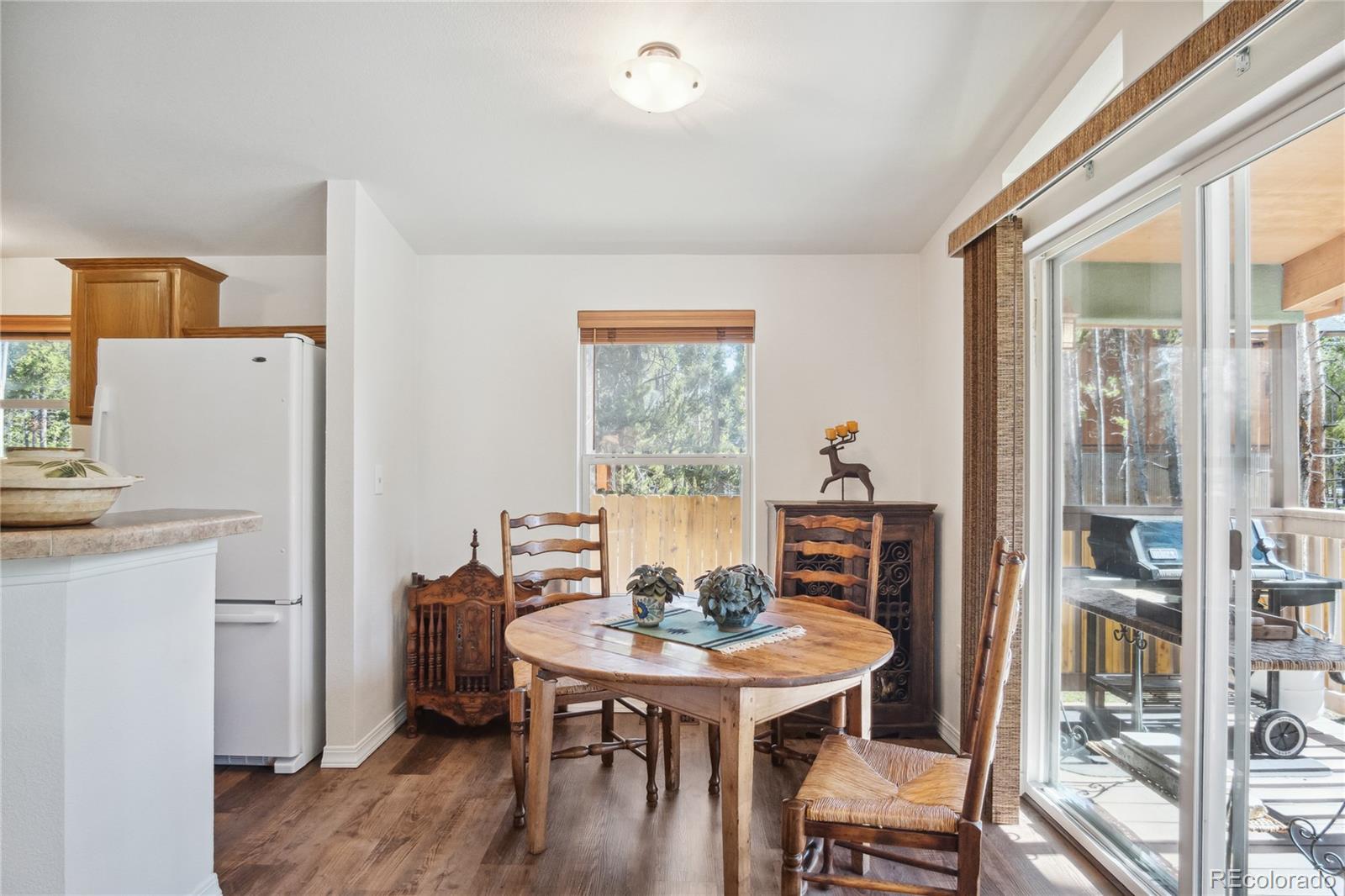 MLS Image #14 for 249  tabor drive,leadville, Colorado