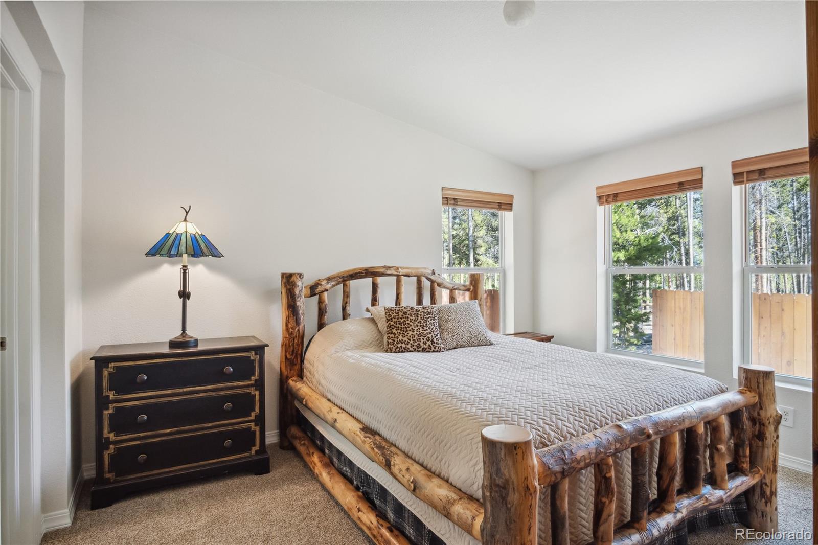 MLS Image #15 for 249  tabor drive,leadville, Colorado