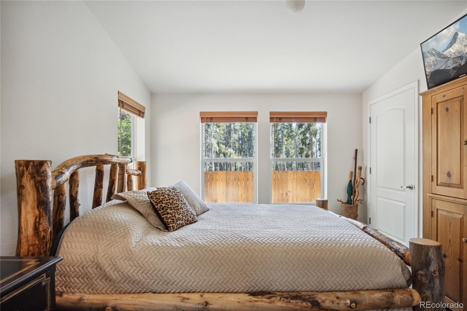 MLS Image #16 for 249  tabor drive,leadville, Colorado
