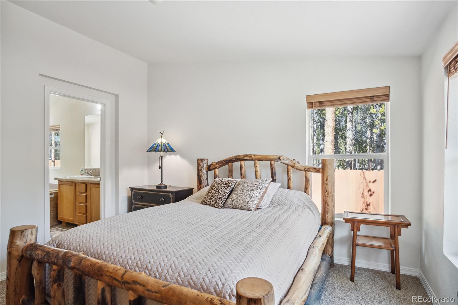 MLS Image #17 for 249  tabor drive,leadville, Colorado