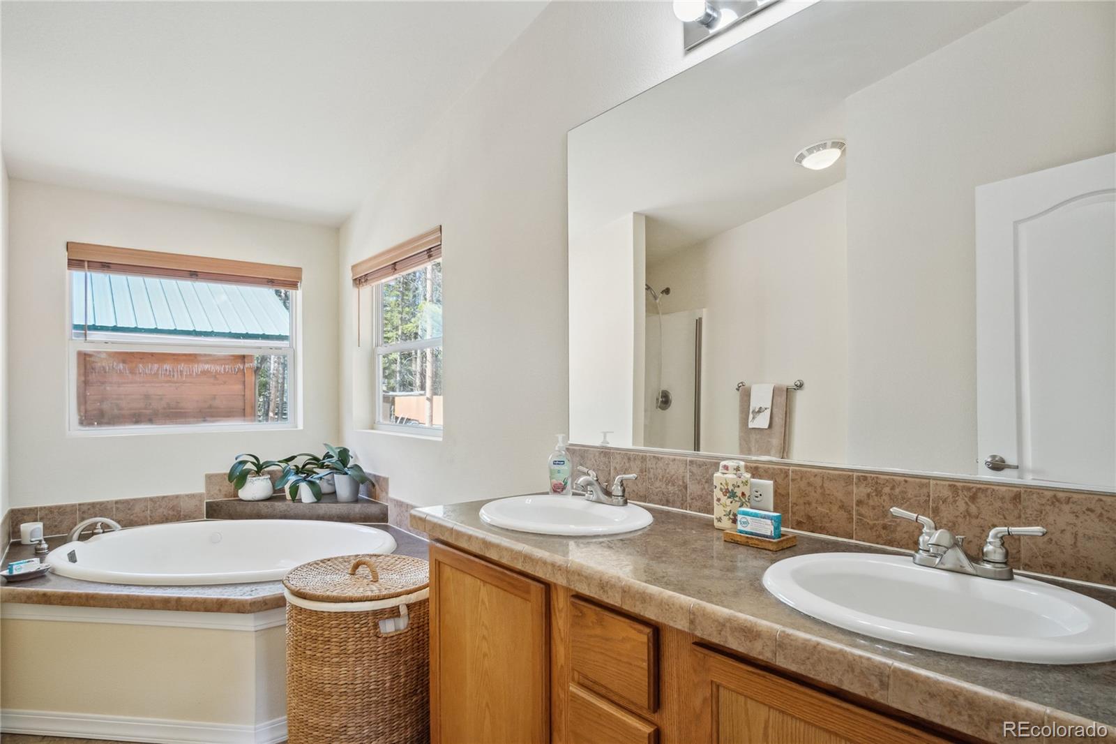 MLS Image #18 for 249  tabor drive,leadville, Colorado