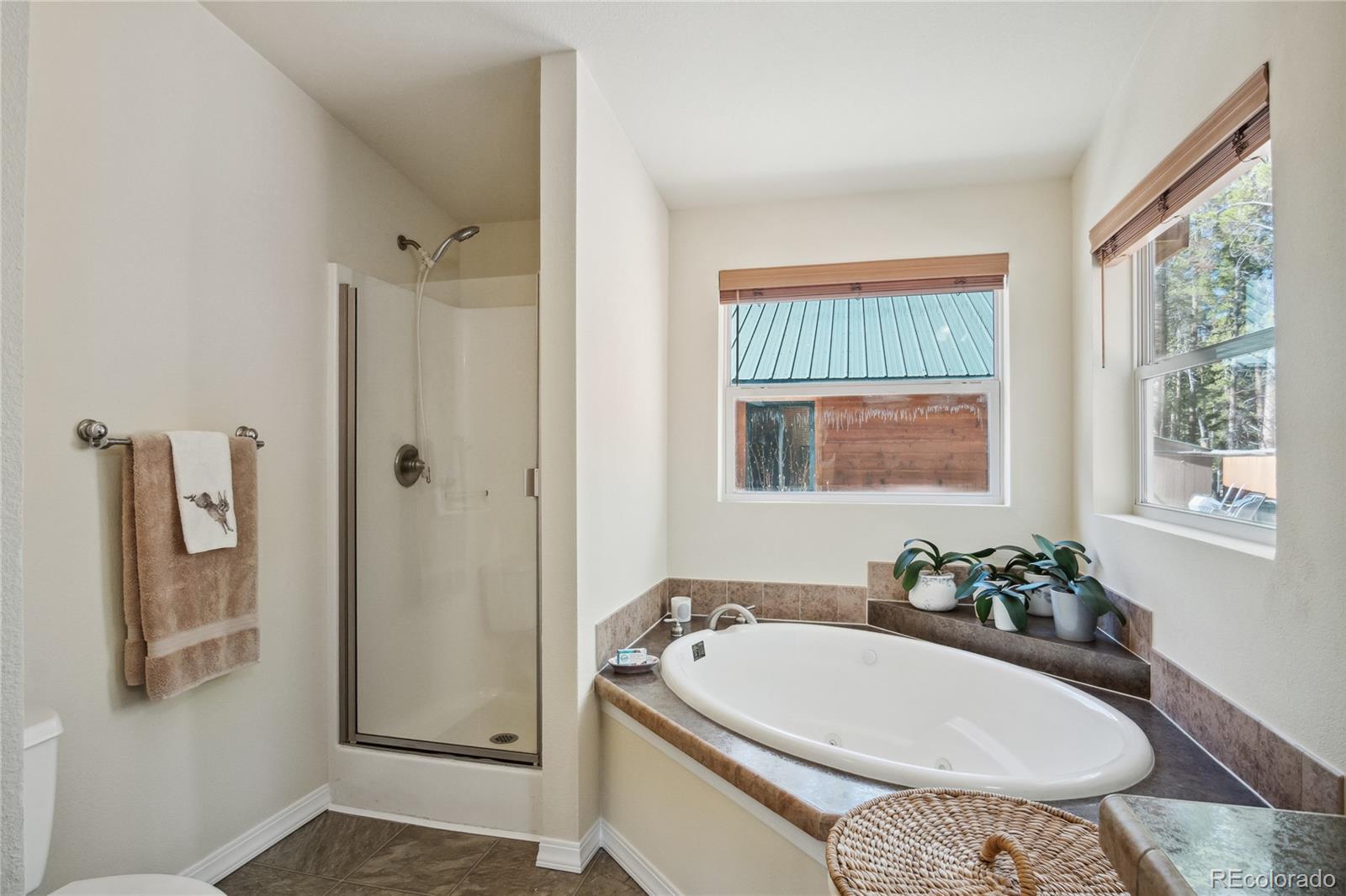 MLS Image #19 for 249  tabor drive,leadville, Colorado