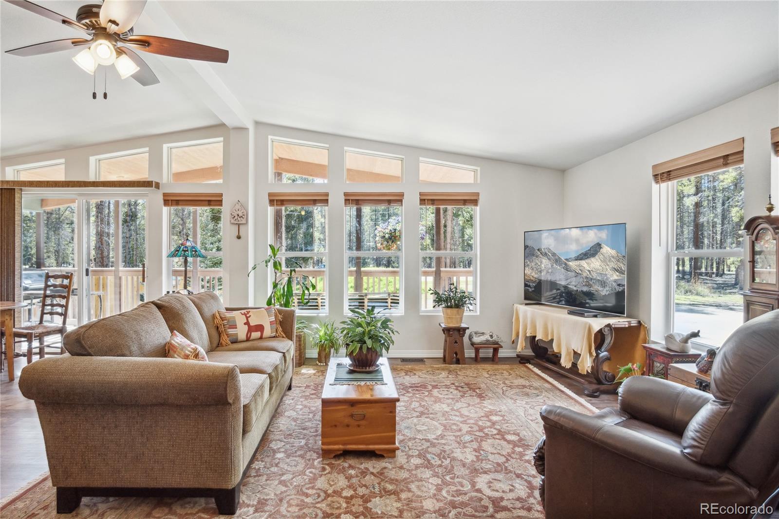 MLS Image #2 for 249  tabor drive,leadville, Colorado
