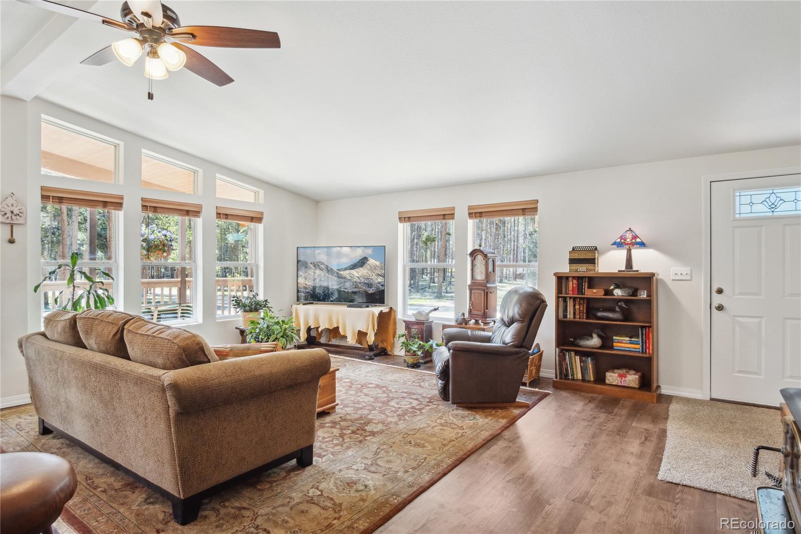 MLS Image #3 for 249  tabor drive,leadville, Colorado