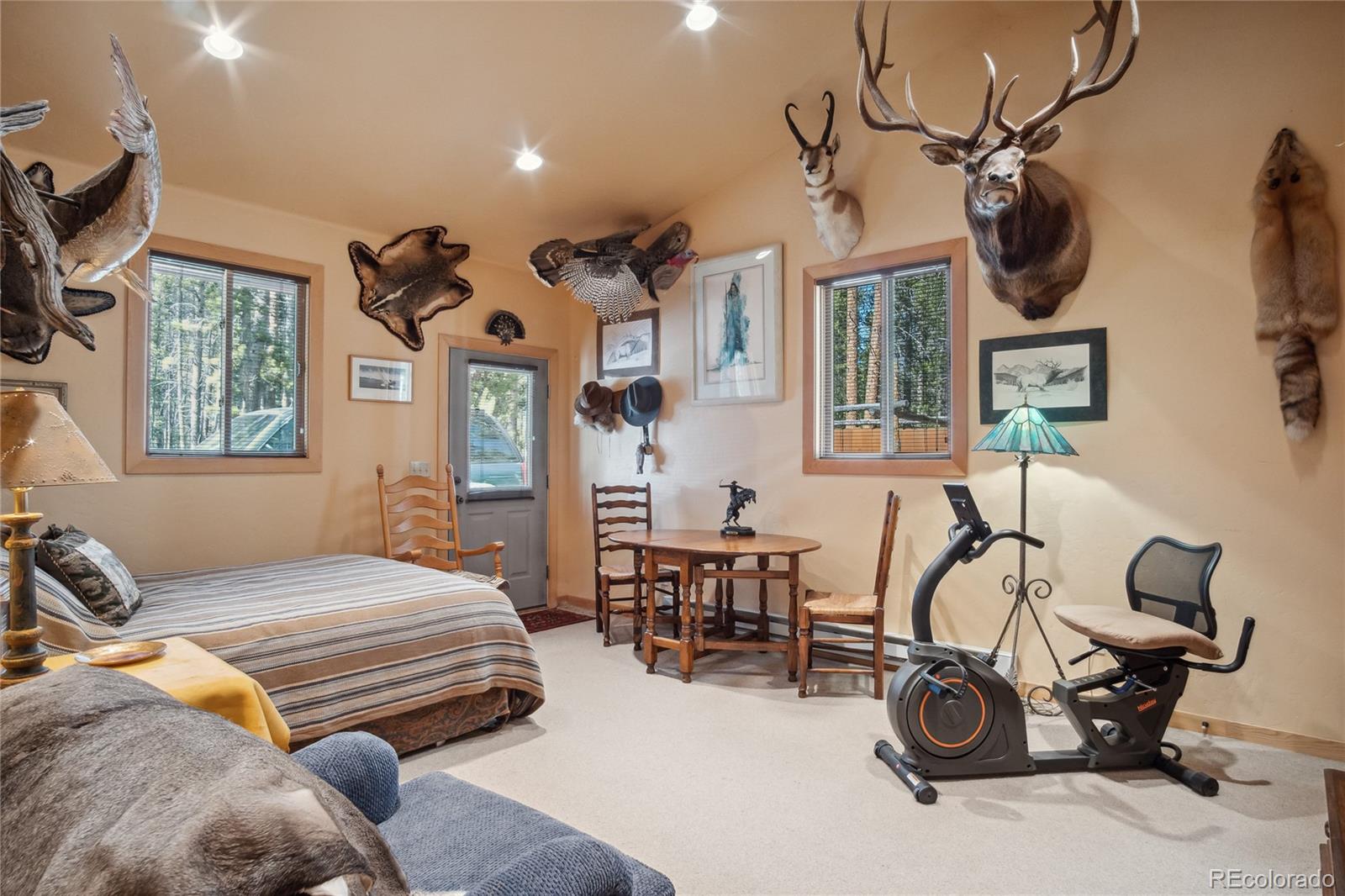 MLS Image #37 for 249  tabor drive,leadville, Colorado
