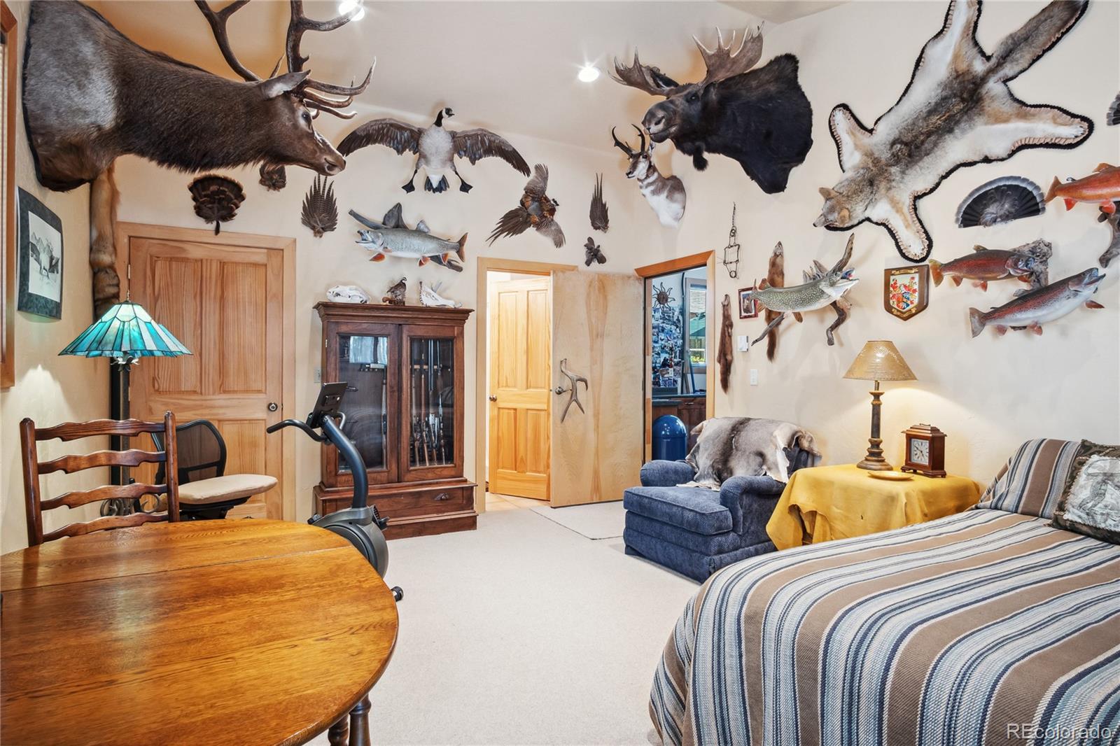 MLS Image #38 for 249  tabor drive,leadville, Colorado
