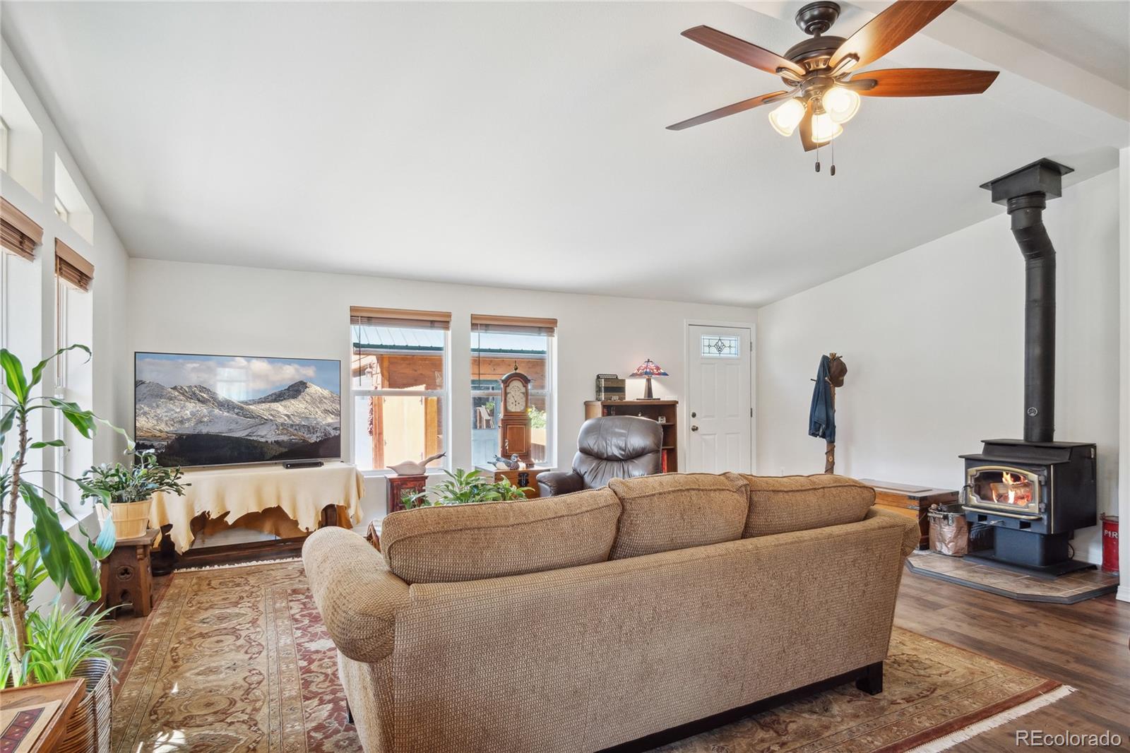 MLS Image #4 for 249  tabor drive,leadville, Colorado