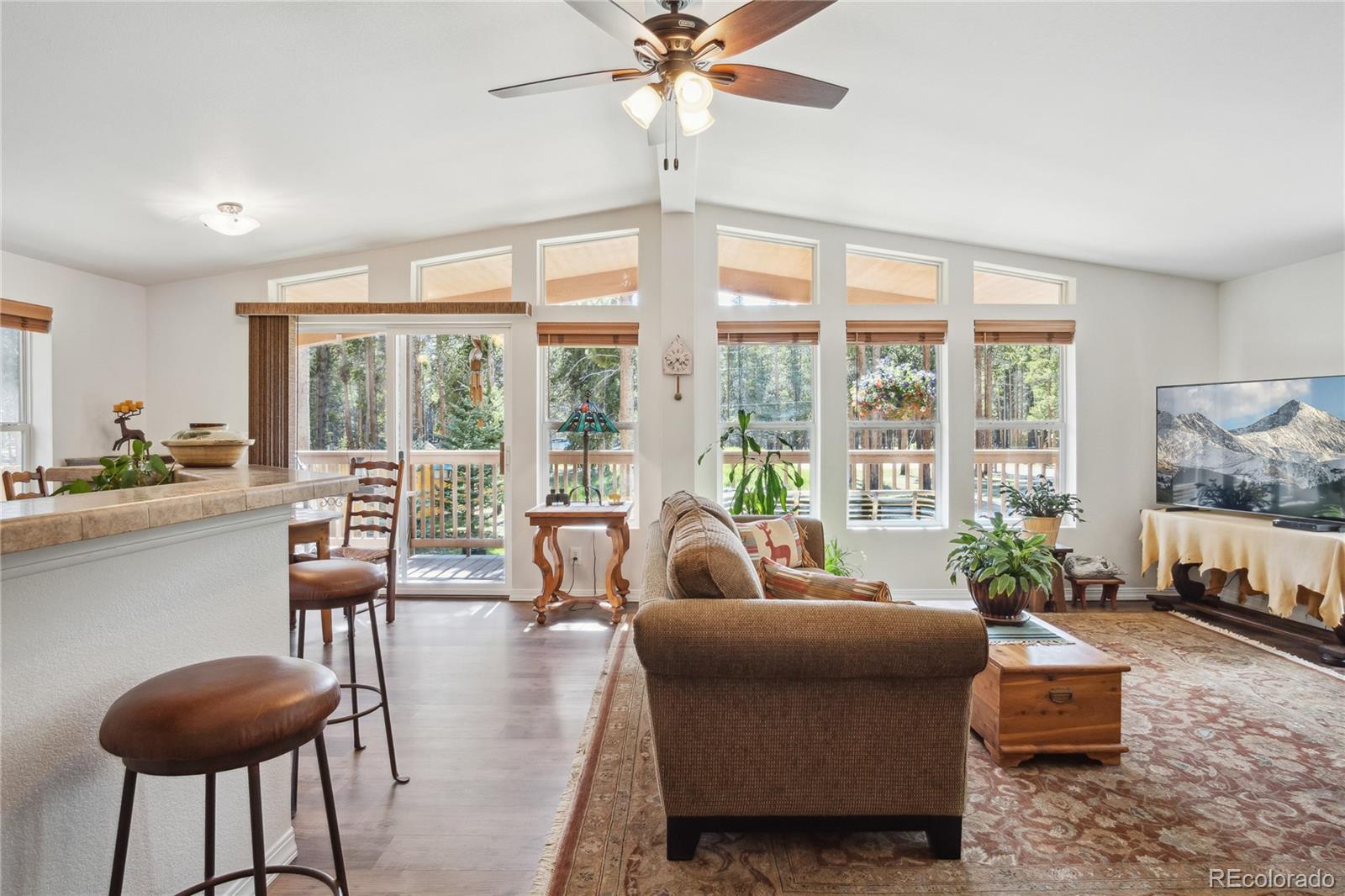 MLS Image #5 for 249  tabor drive,leadville, Colorado