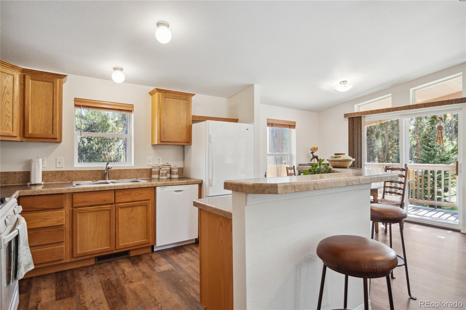 MLS Image #6 for 249  tabor drive,leadville, Colorado