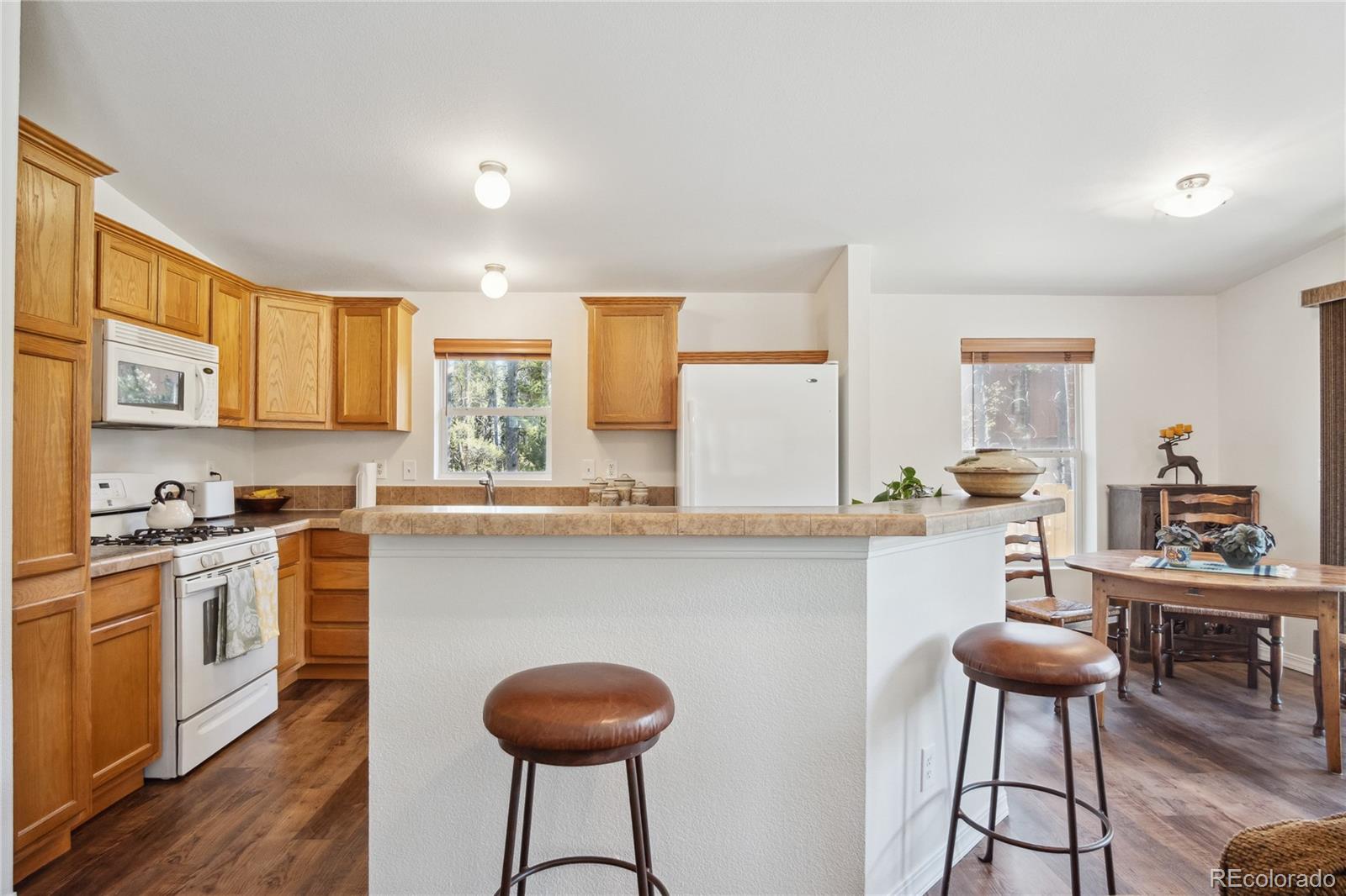 MLS Image #7 for 249  tabor drive,leadville, Colorado