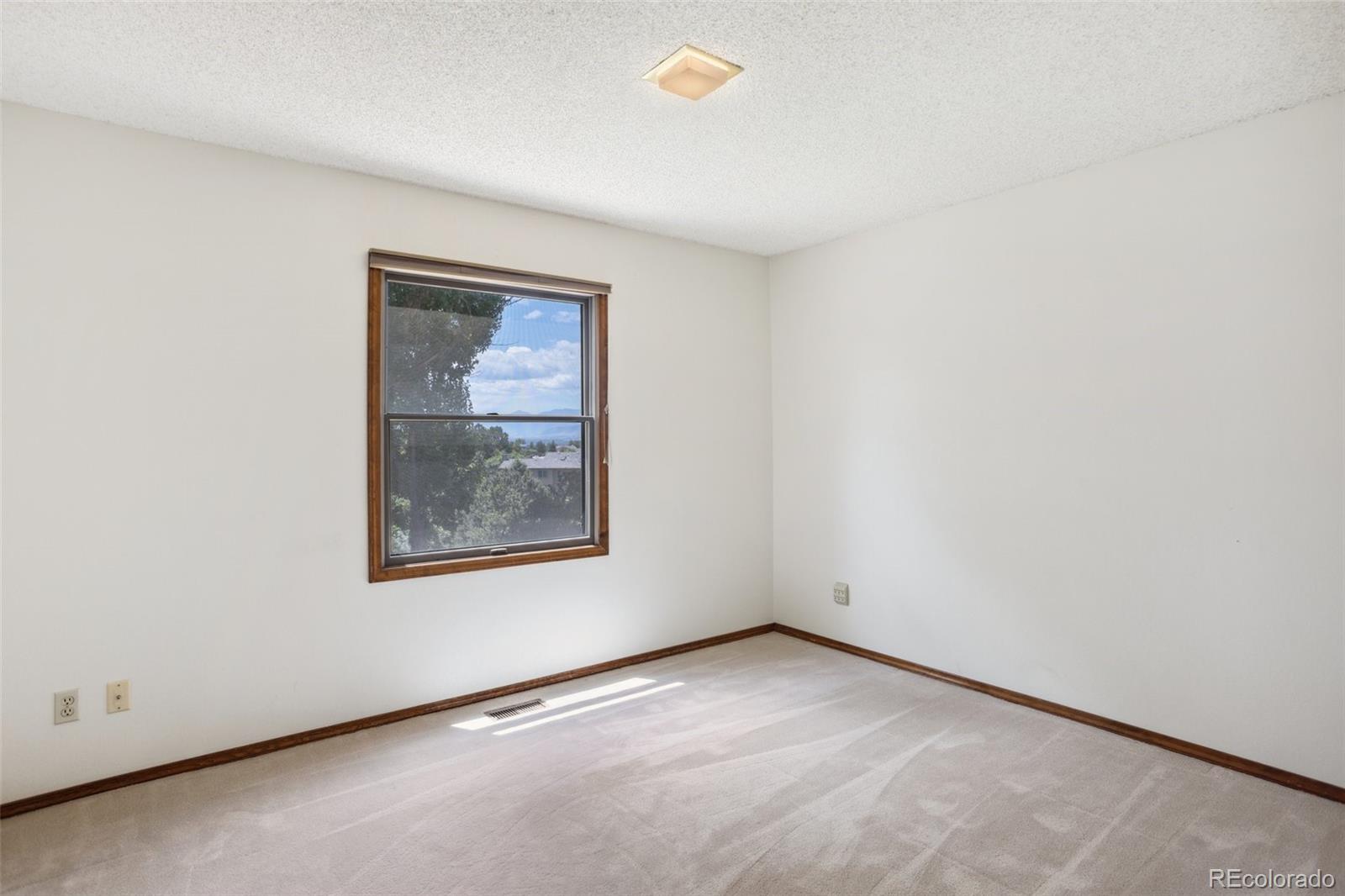 MLS Image #29 for 315  palm springs drive,colorado springs, Colorado
