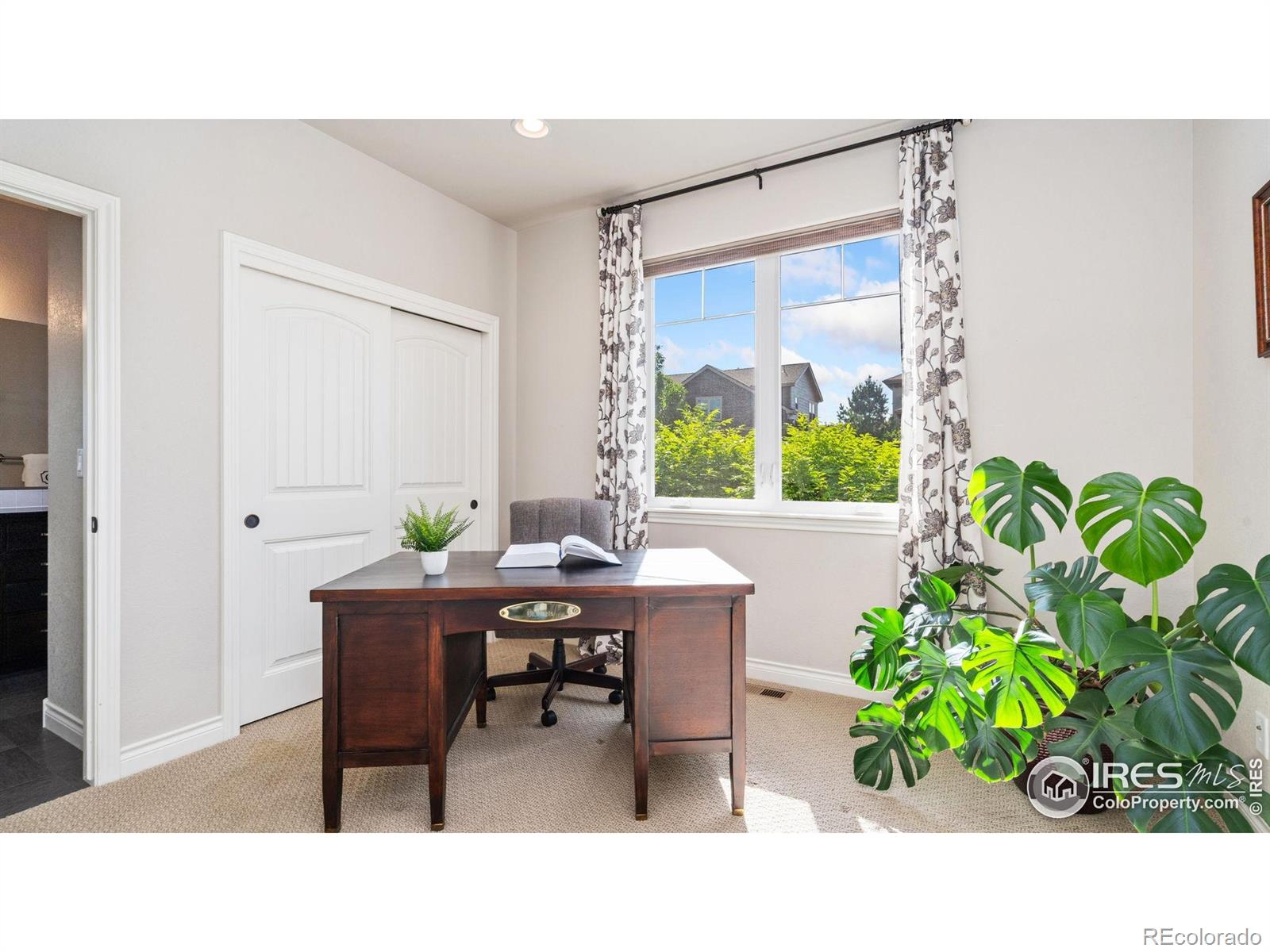 MLS Image #19 for 1983  cayman drive,windsor, Colorado