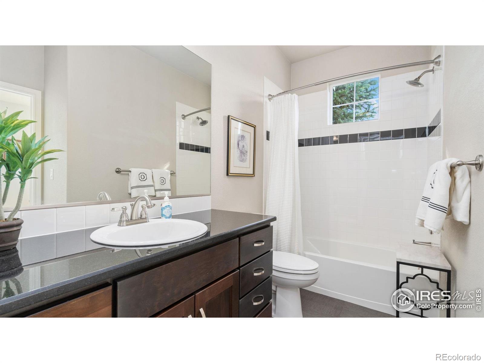 MLS Image #20 for 1983  cayman drive,windsor, Colorado