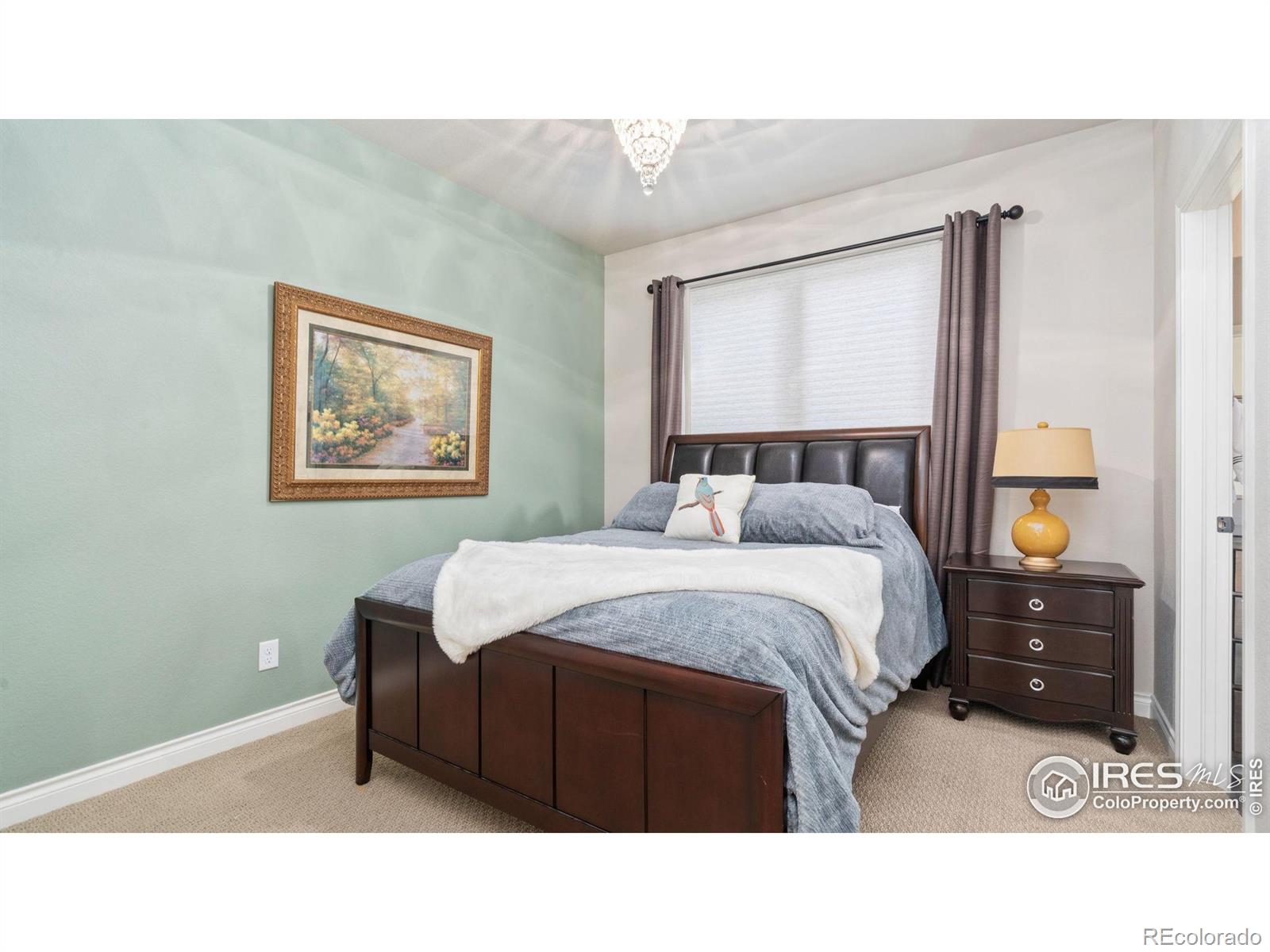 MLS Image #21 for 1983  cayman drive,windsor, Colorado