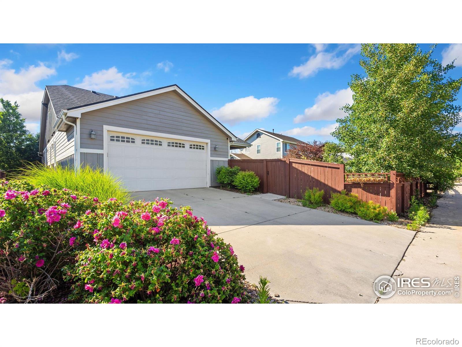 MLS Image #34 for 1983  cayman drive,windsor, Colorado