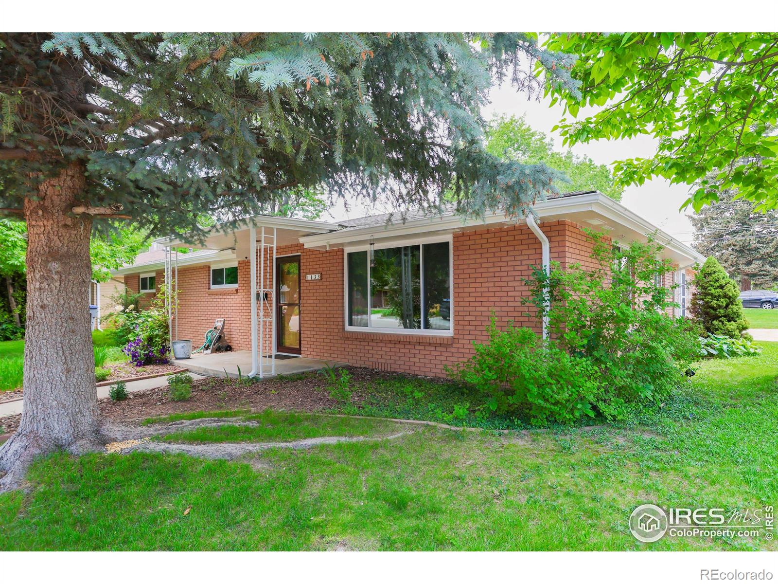 MLS Image #19 for 1133  frontier drive,longmont, Colorado