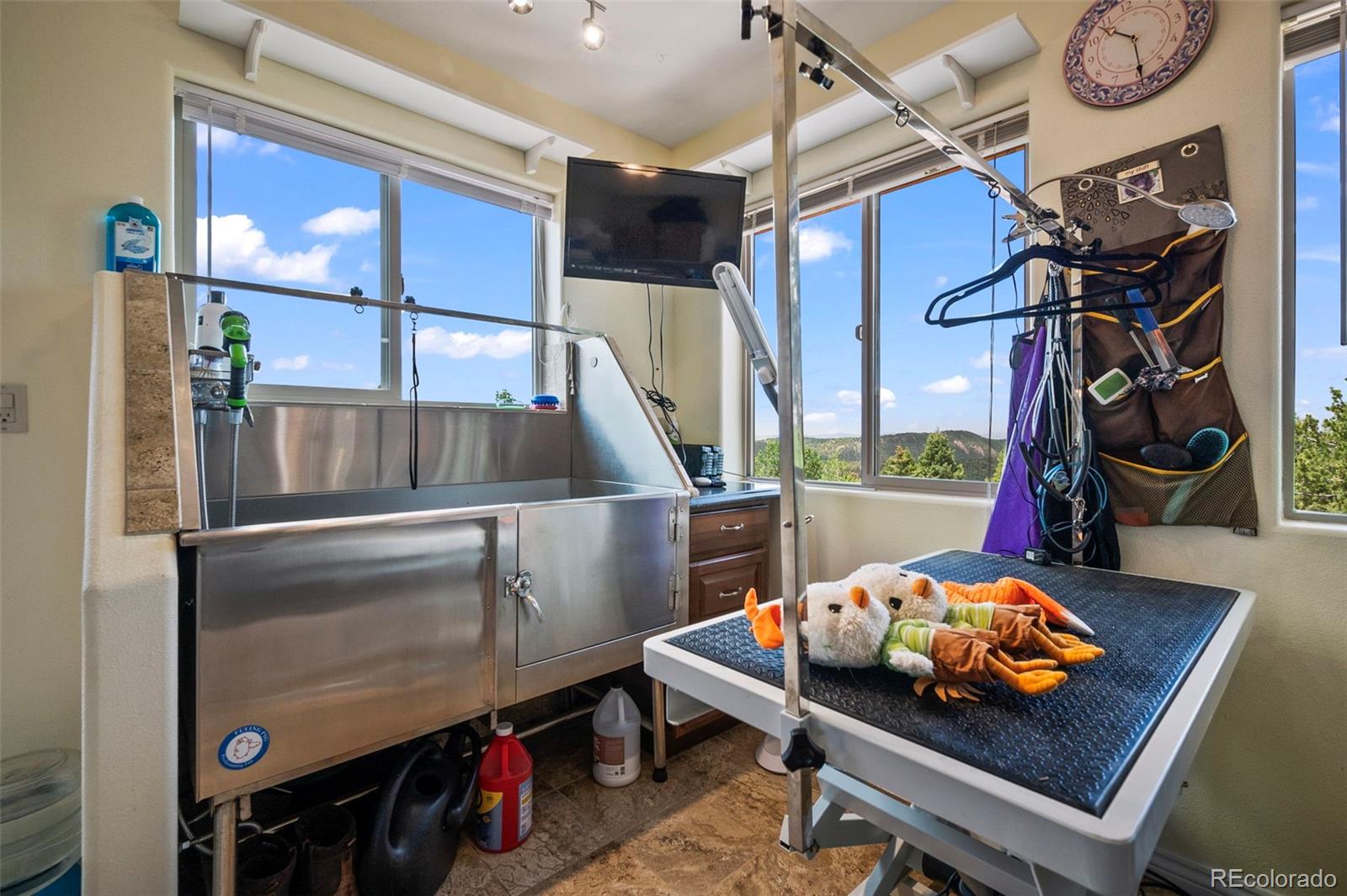 MLS Image #18 for 747  may queen drive,cripple creek, Colorado