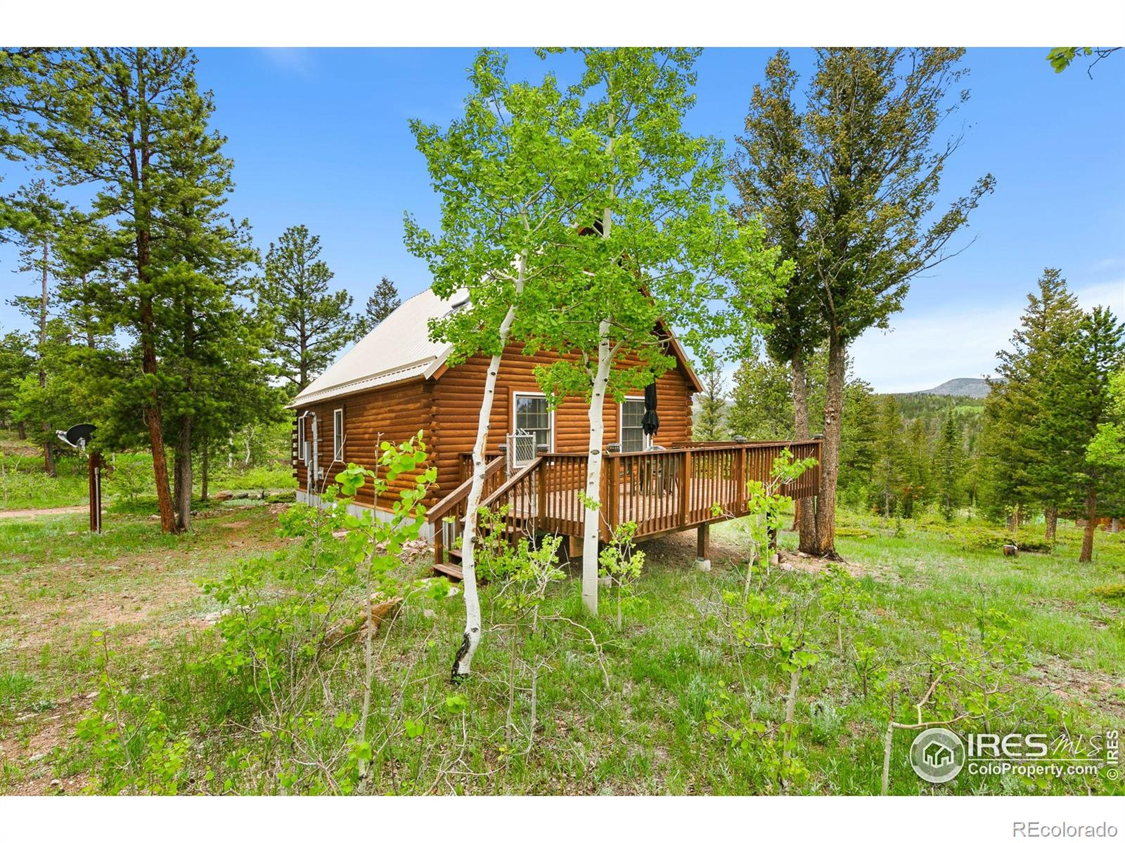 MLS Image #17 for 90  woccon court,red feather lakes, Colorado