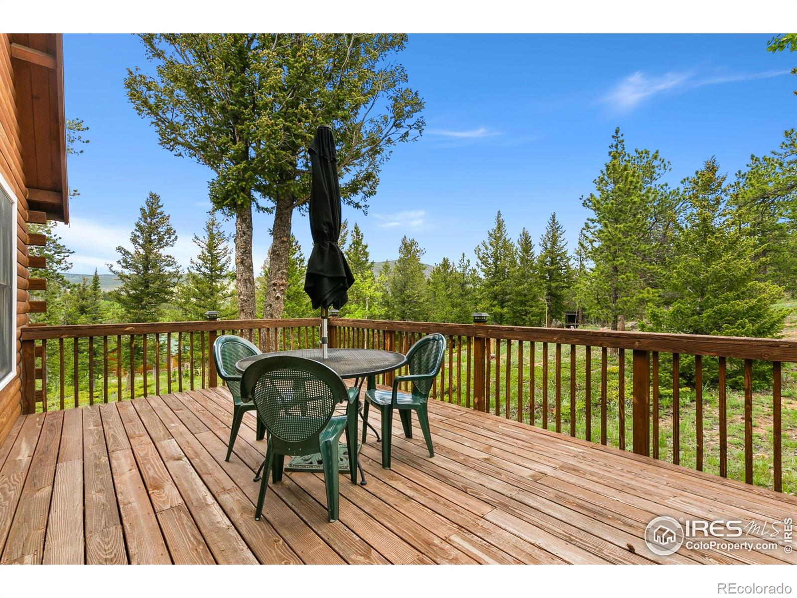 MLS Image #18 for 90  woccon court,red feather lakes, Colorado