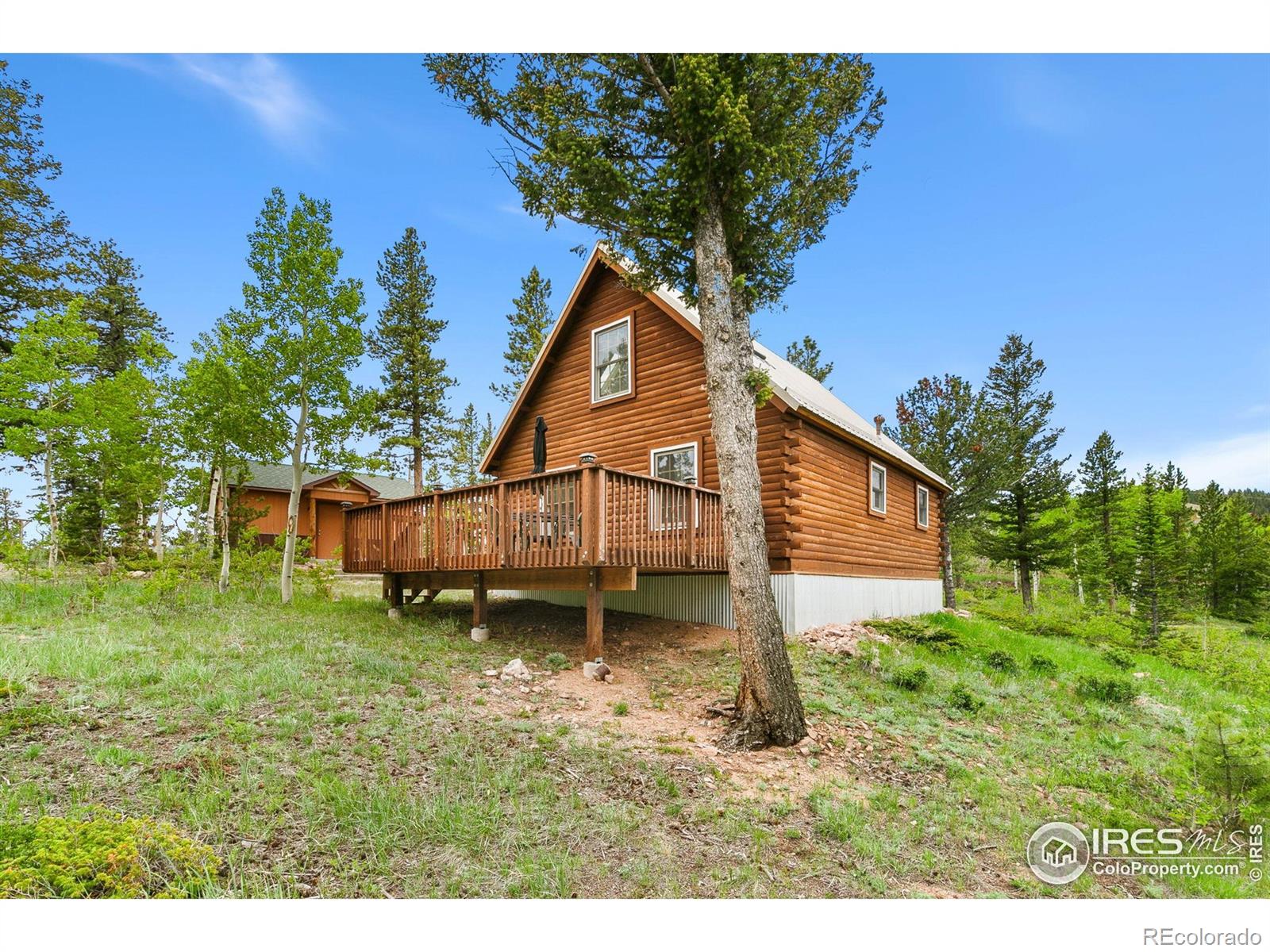 MLS Image #19 for 90  woccon court,red feather lakes, Colorado
