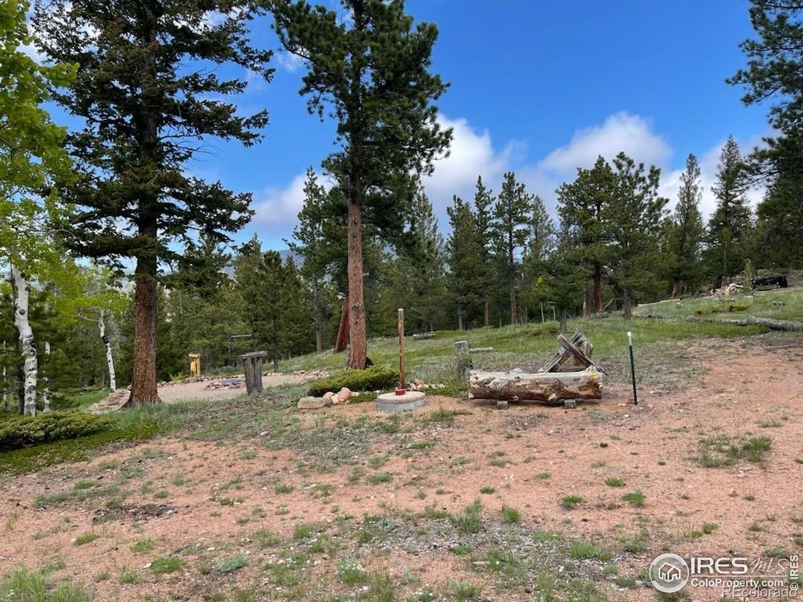 MLS Image #24 for 90  woccon court,red feather lakes, Colorado