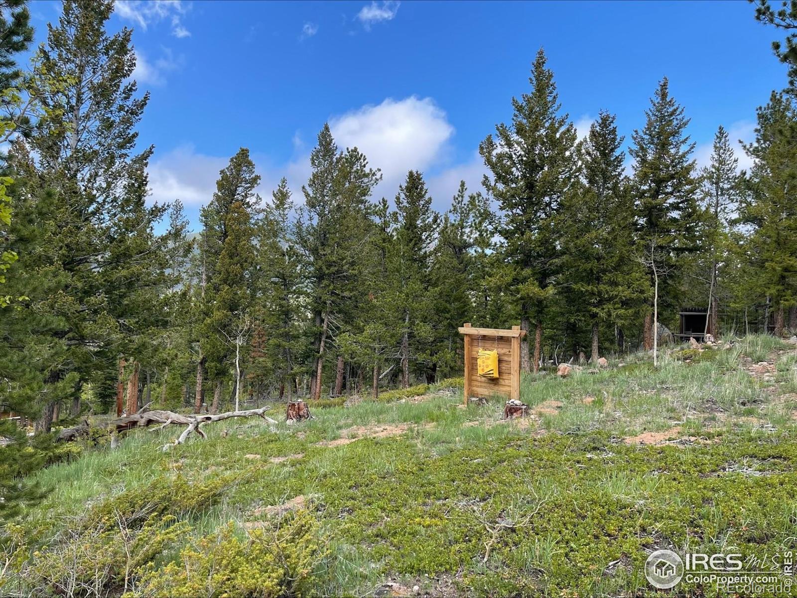 MLS Image #25 for 90  woccon court,red feather lakes, Colorado