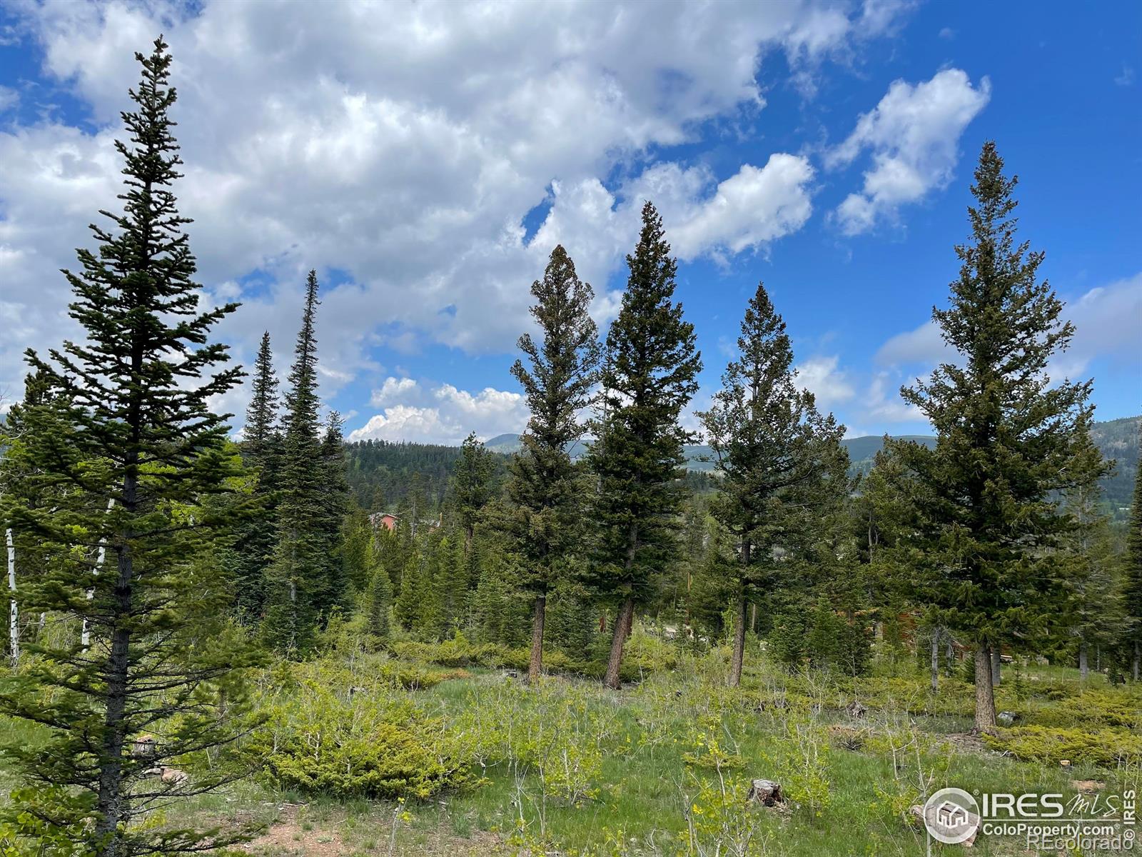 MLS Image #26 for 90  woccon court,red feather lakes, Colorado
