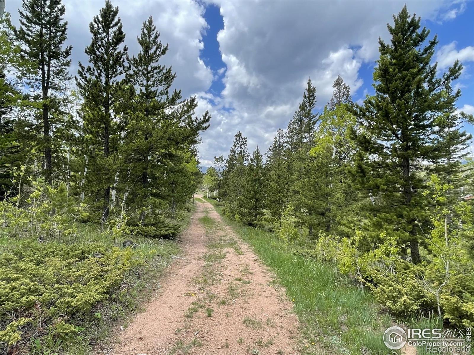 MLS Image #27 for 90  woccon court,red feather lakes, Colorado