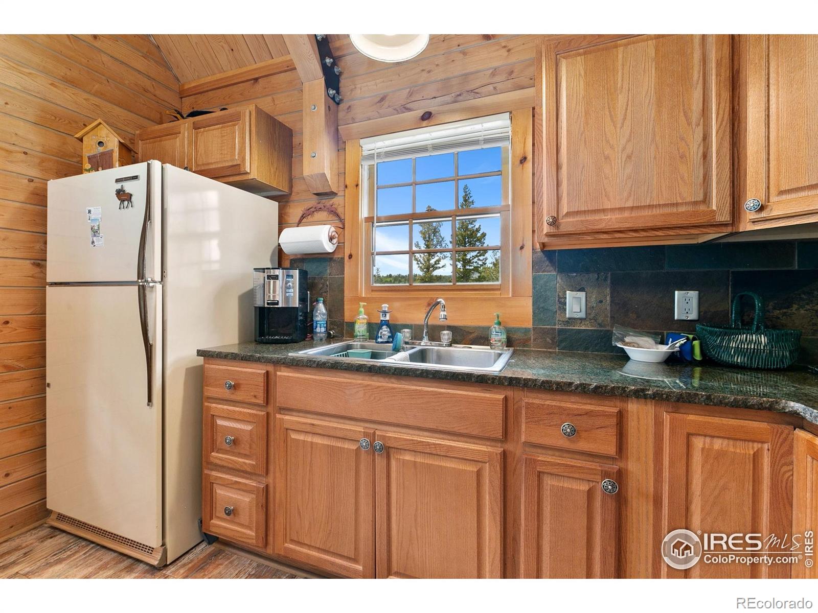 MLS Image #9 for 90  woccon court,red feather lakes, Colorado