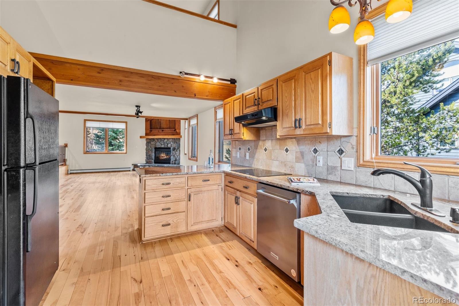 MLS Image #10 for 142  high meadow drive,dillon, Colorado