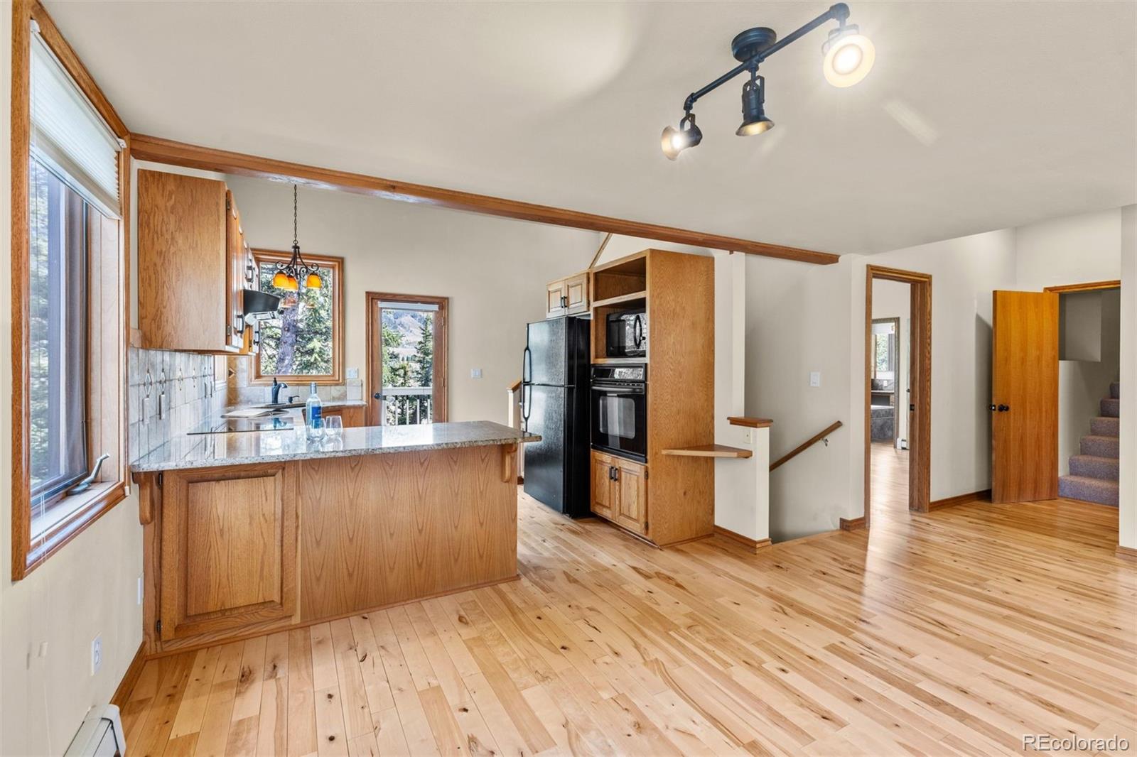MLS Image #11 for 142  high meadow drive,dillon, Colorado