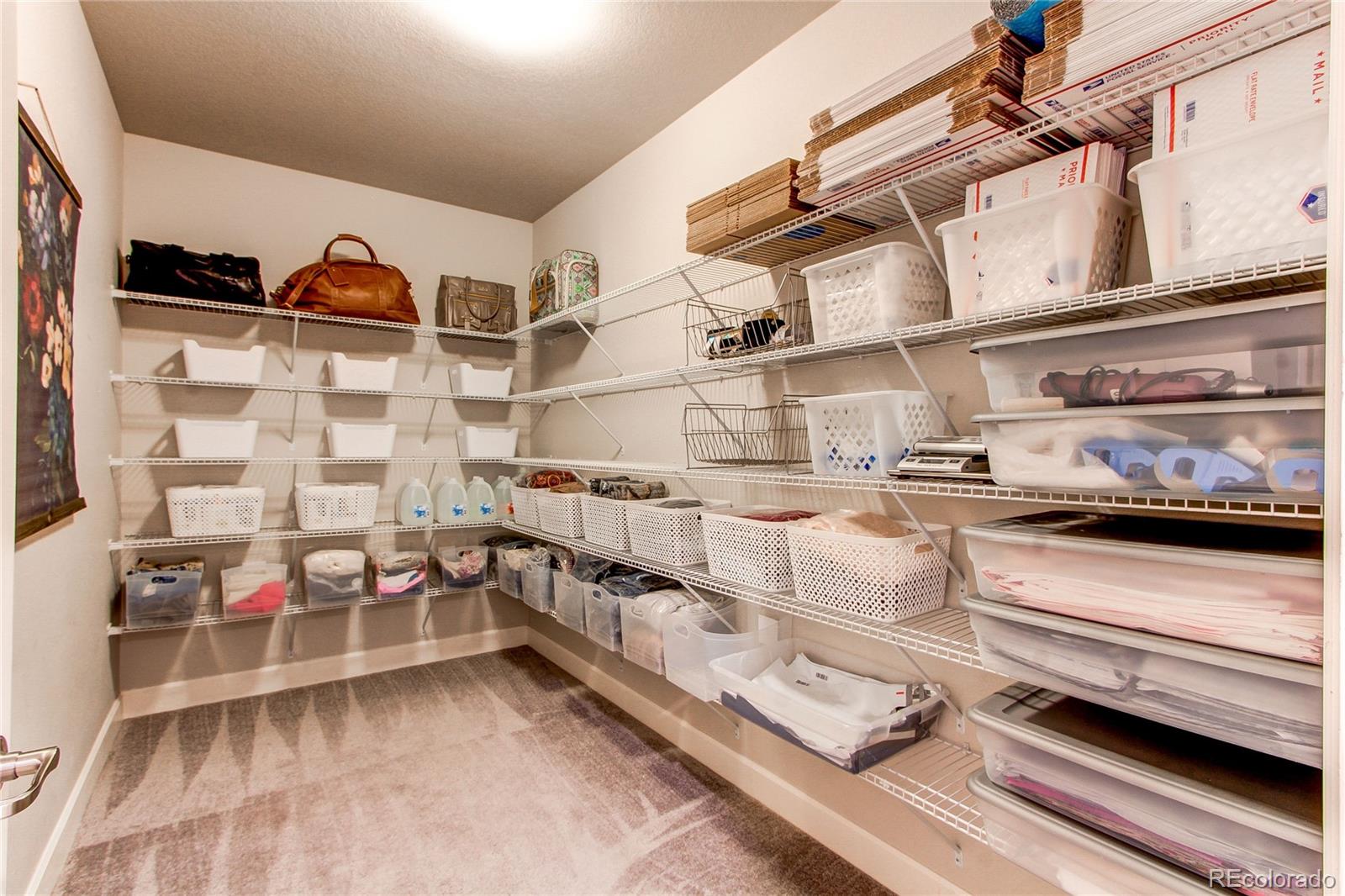 MLS Image #22 for 3375  new haven circle,castle rock, Colorado