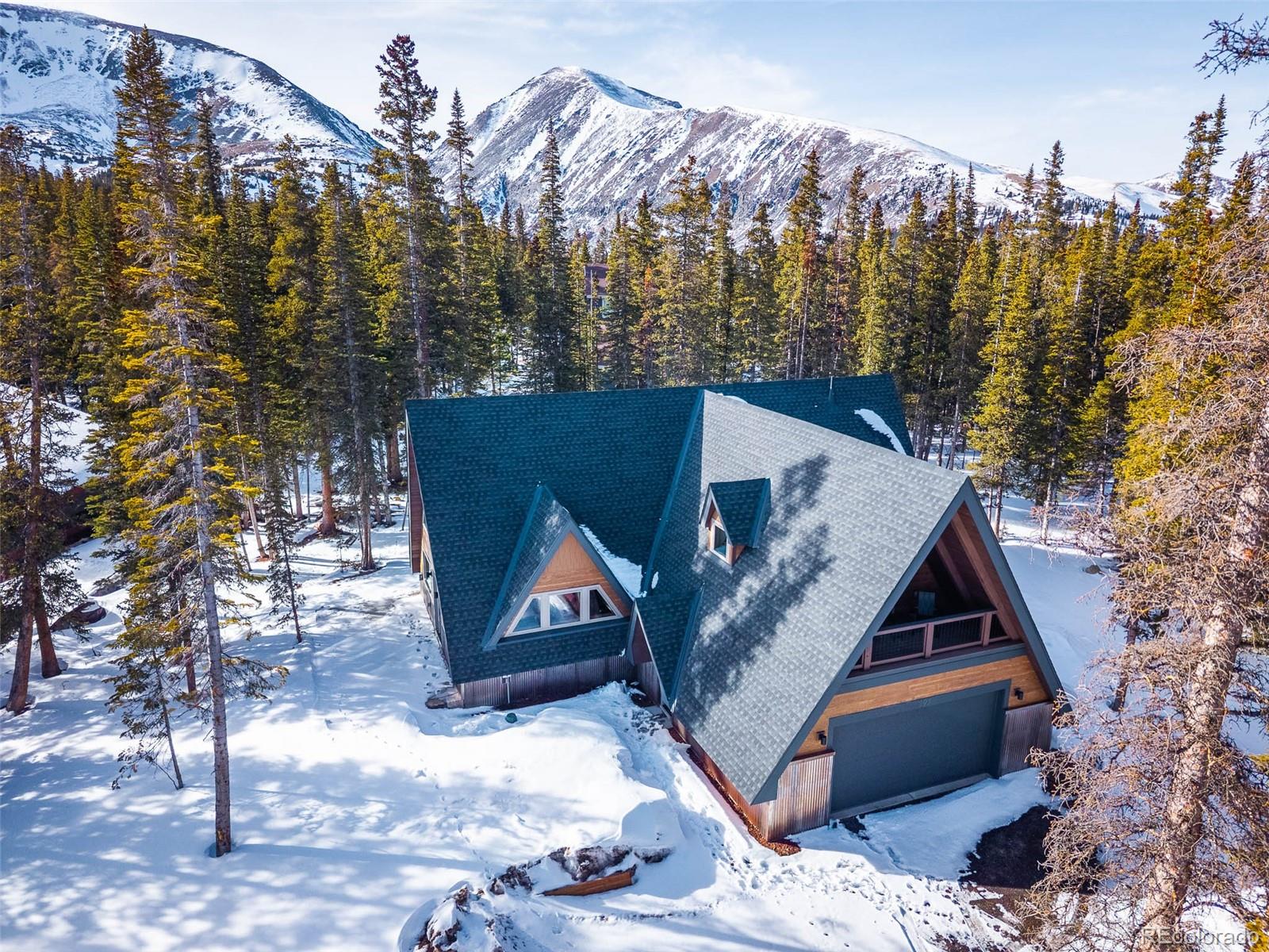 MLS Image #22 for 297  robertson lane,breckenridge, Colorado