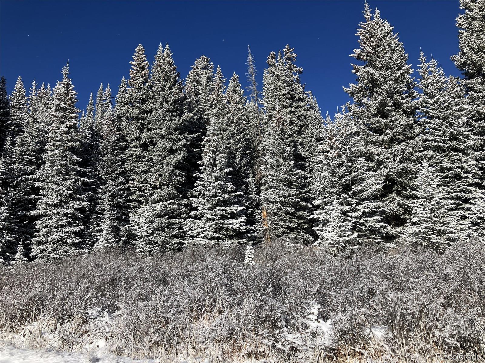 MLS Image #23 for 297  robertson lane,breckenridge, Colorado