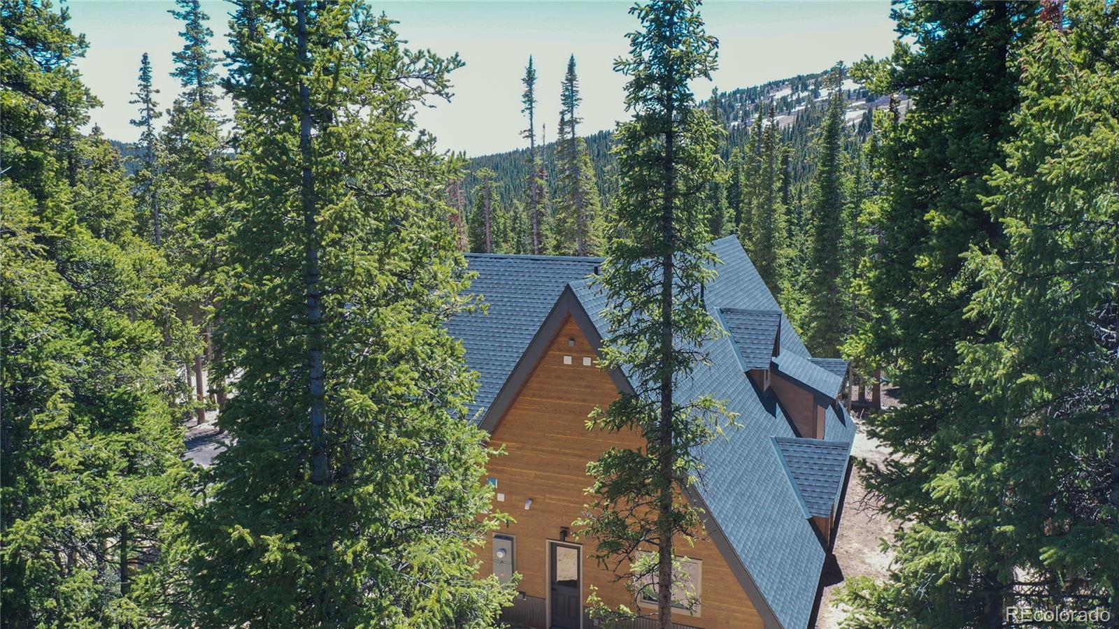 MLS Image #26 for 297  robertson lane,breckenridge, Colorado