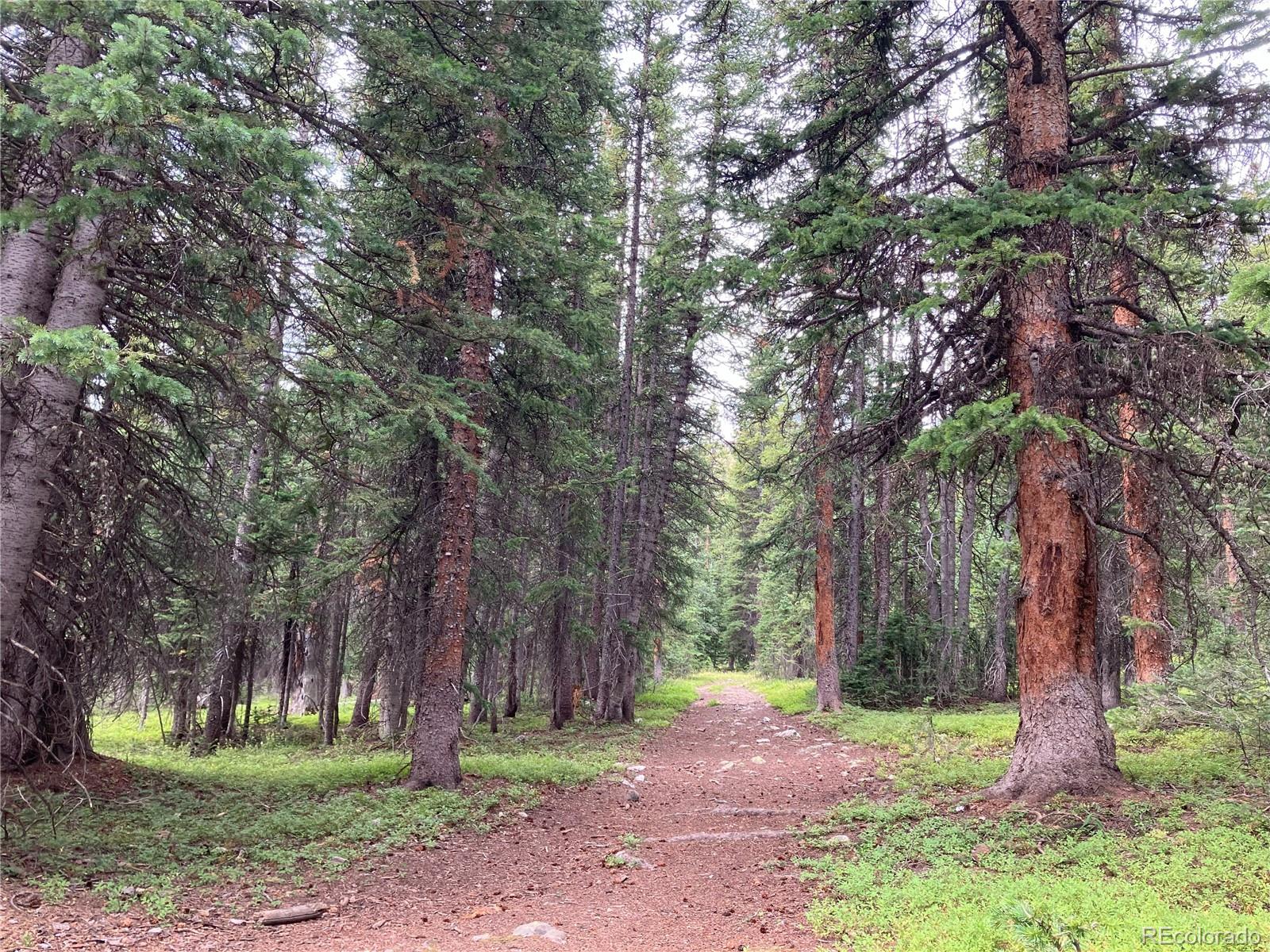 MLS Image #29 for 297  robertson lane,breckenridge, Colorado