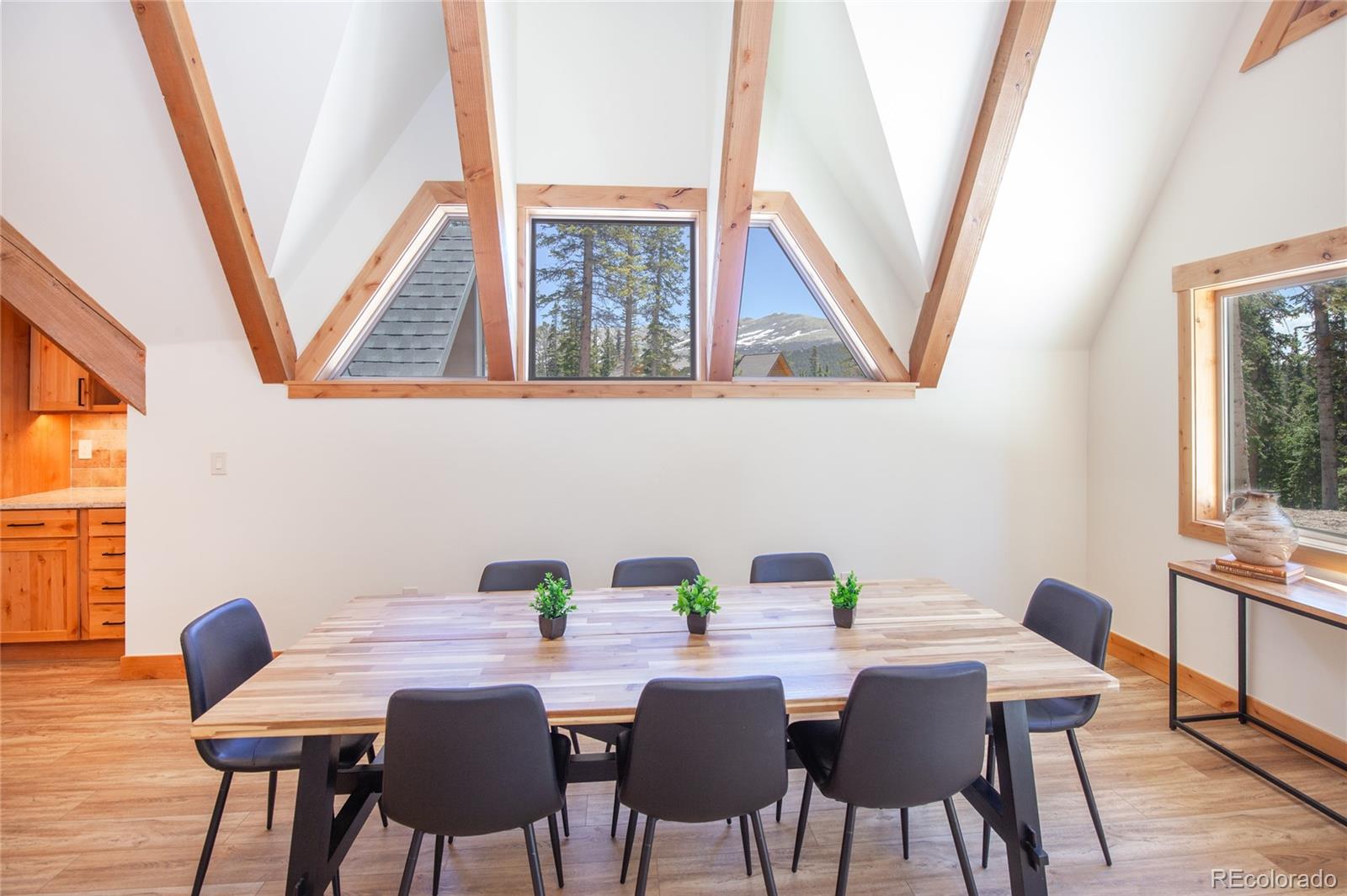 MLS Image #6 for 297  robertson lane,breckenridge, Colorado