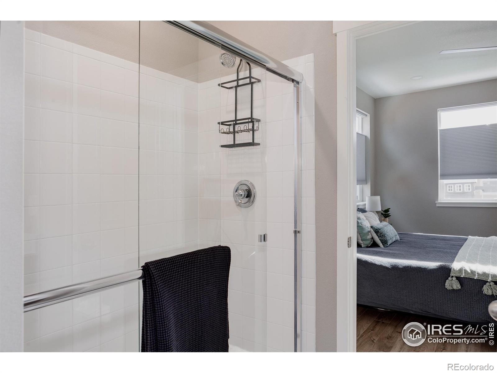 MLS Image #13 for 14605  longhorn drive,mead, Colorado