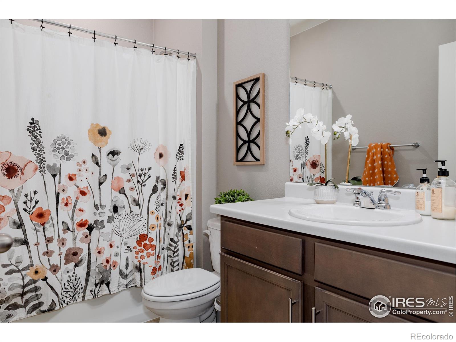 MLS Image #19 for 14605  longhorn drive,mead, Colorado