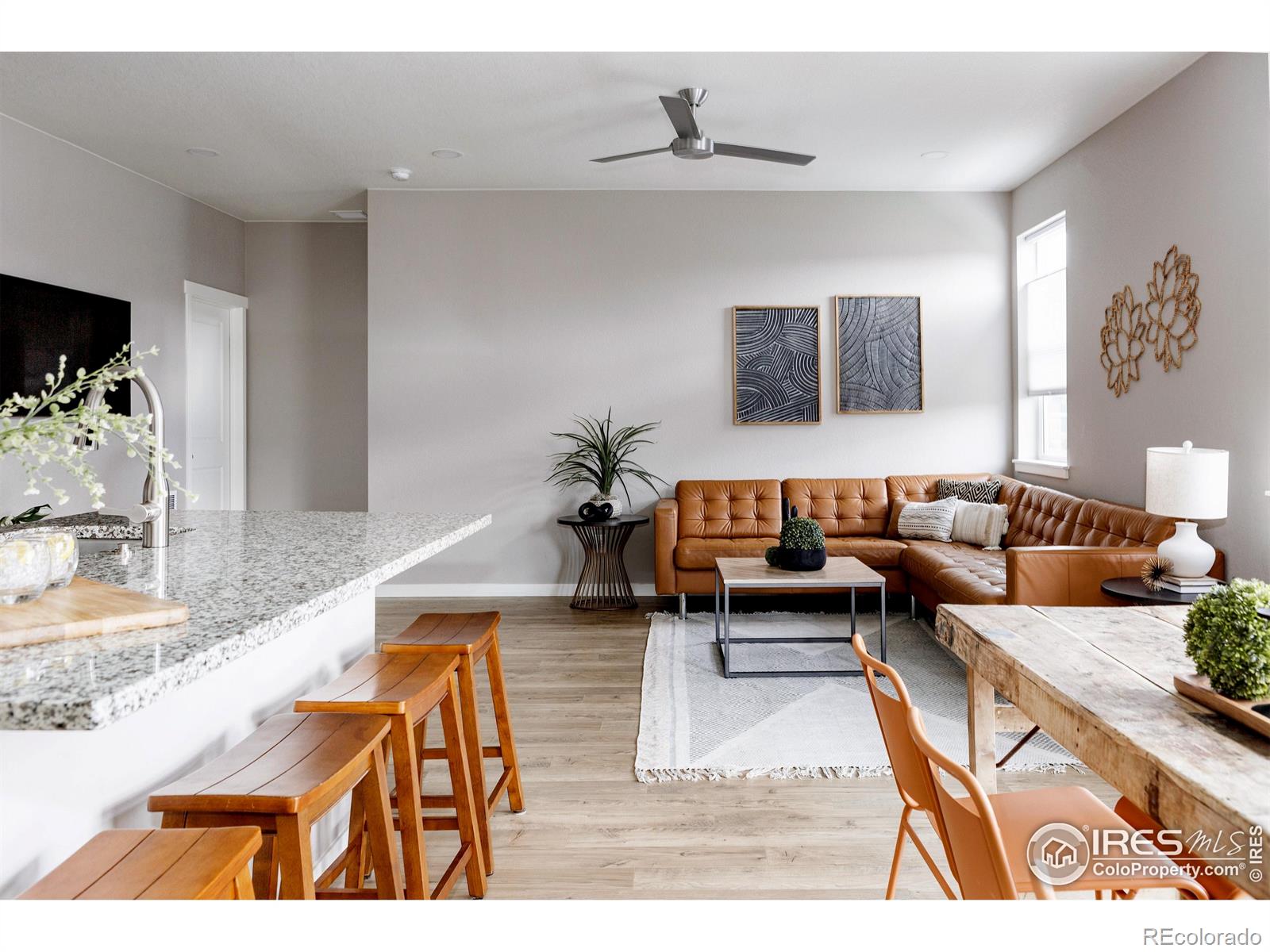 MLS Image #8 for 14605  longhorn drive,mead, Colorado