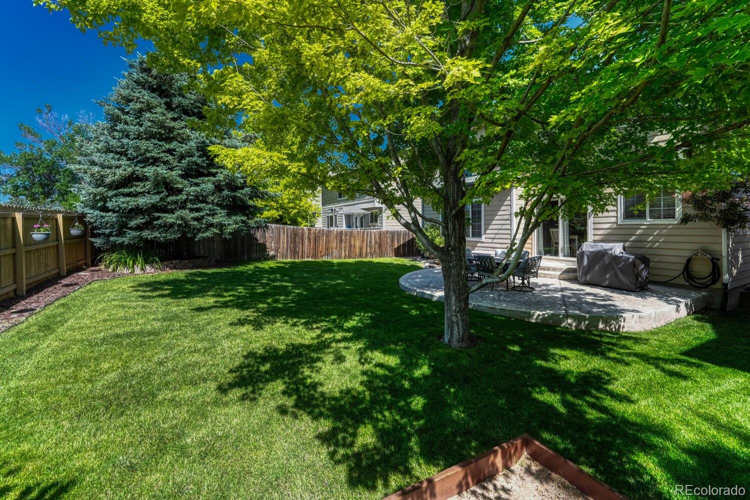 MLS Image #41 for 21238  snowshoe lane,parker, Colorado